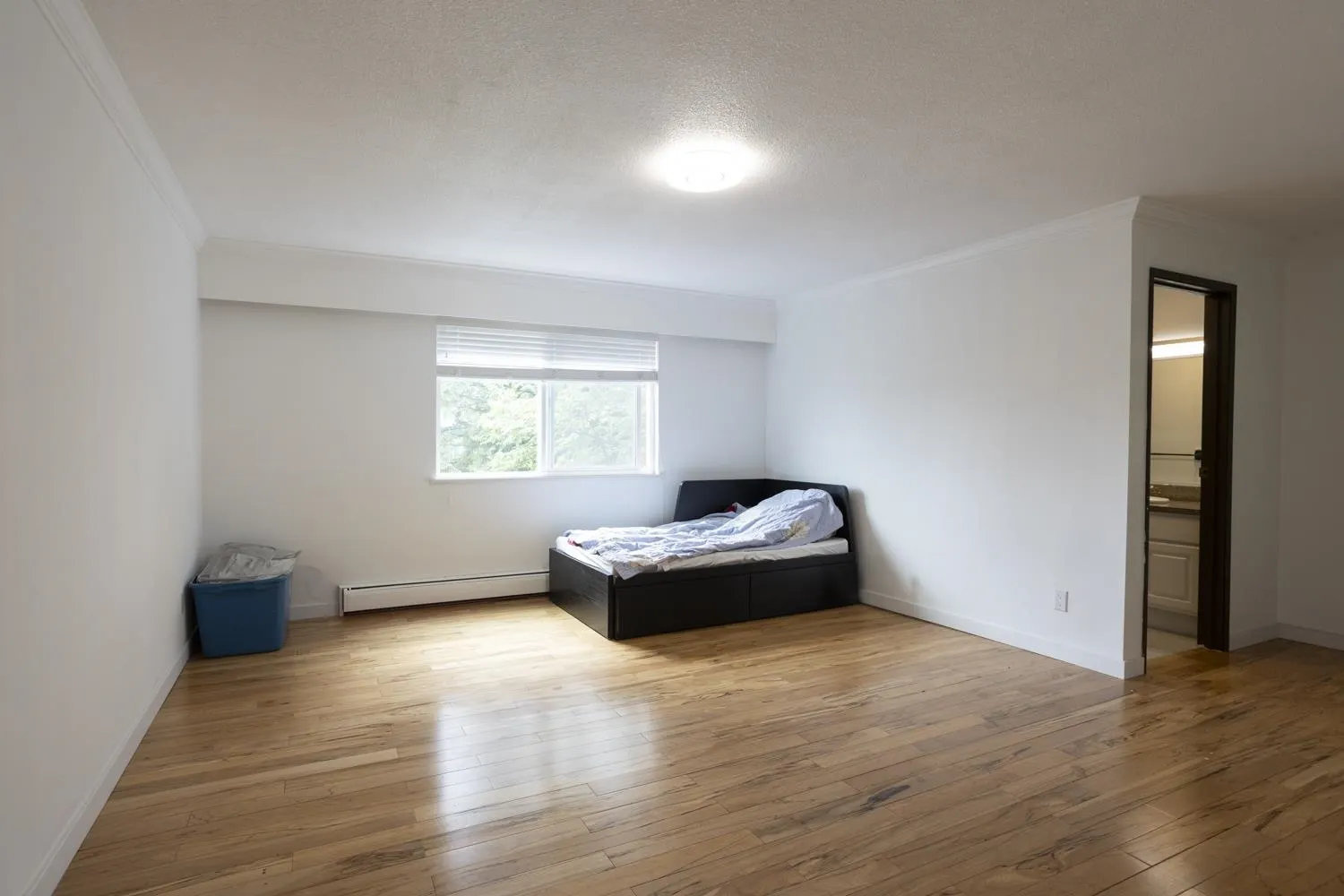 1786 View Street