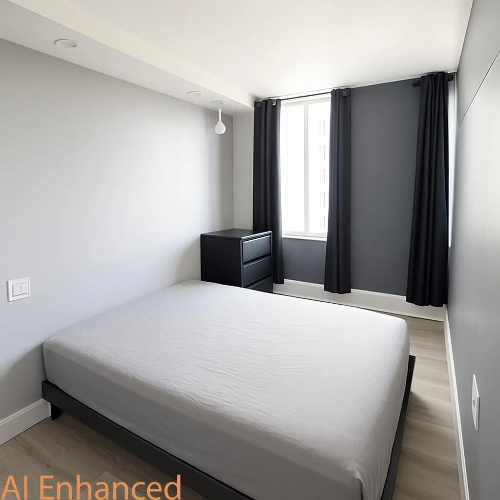 905 1250 Burnaby Street