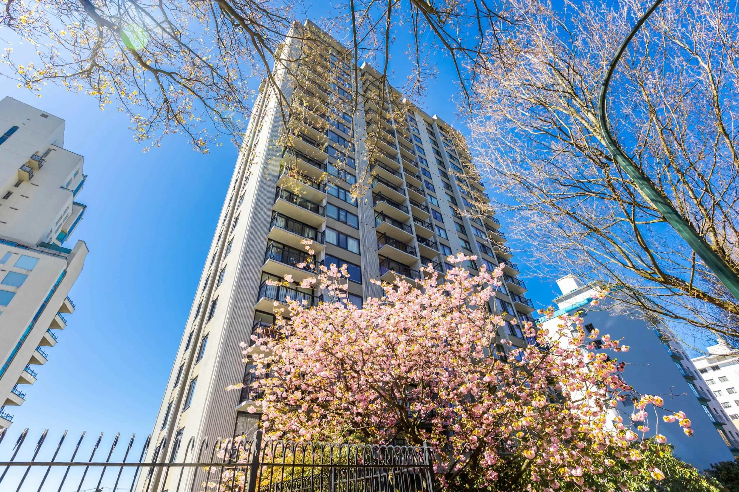 1403 1330 Harwood Street