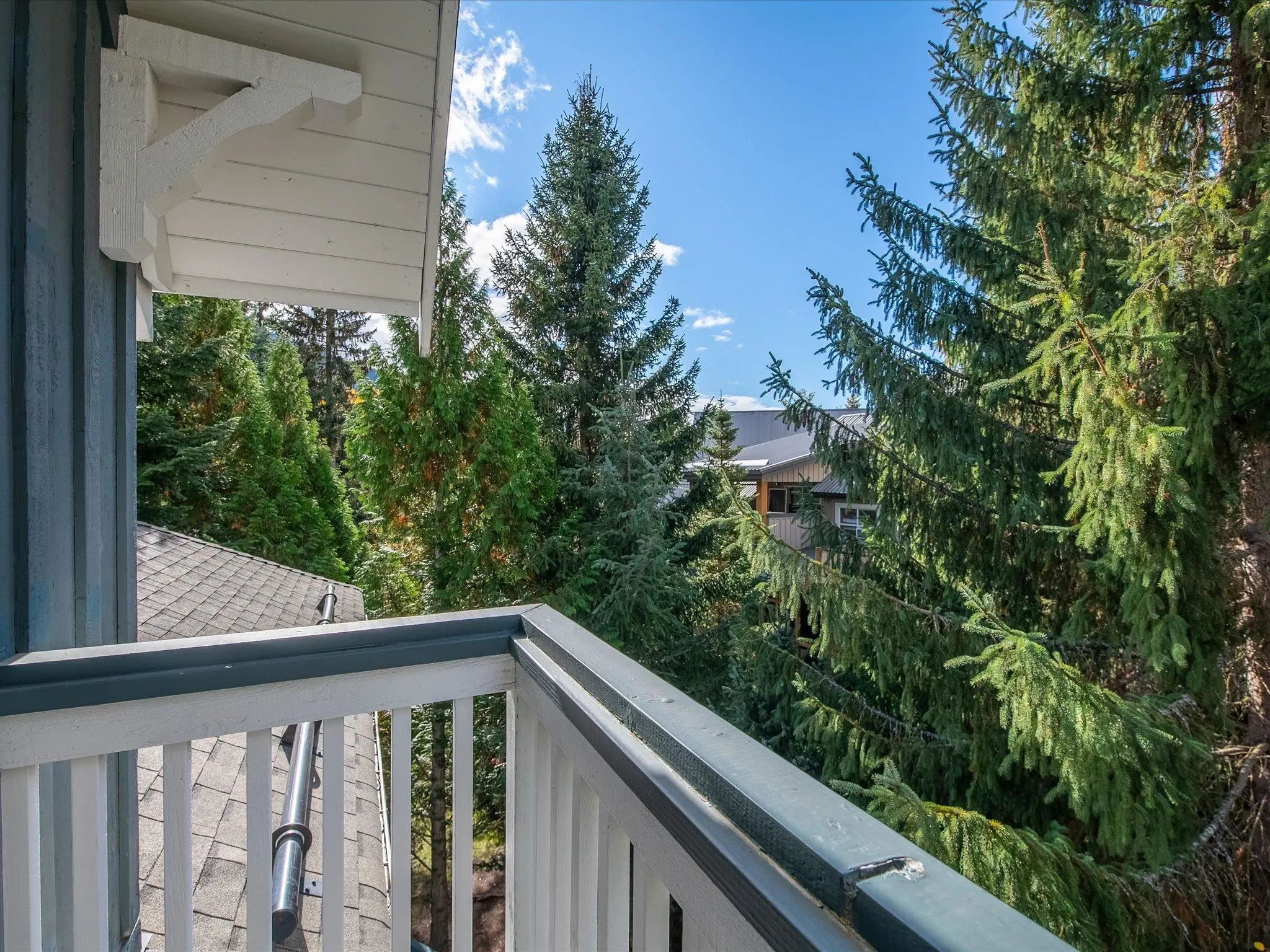 203 4405 Blackcomb Way