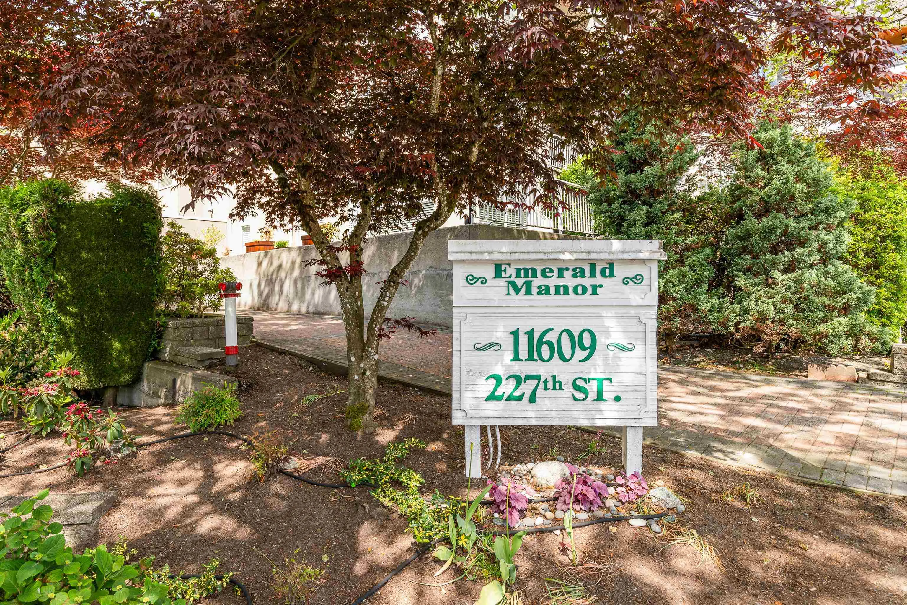 205 11609 227 Street
