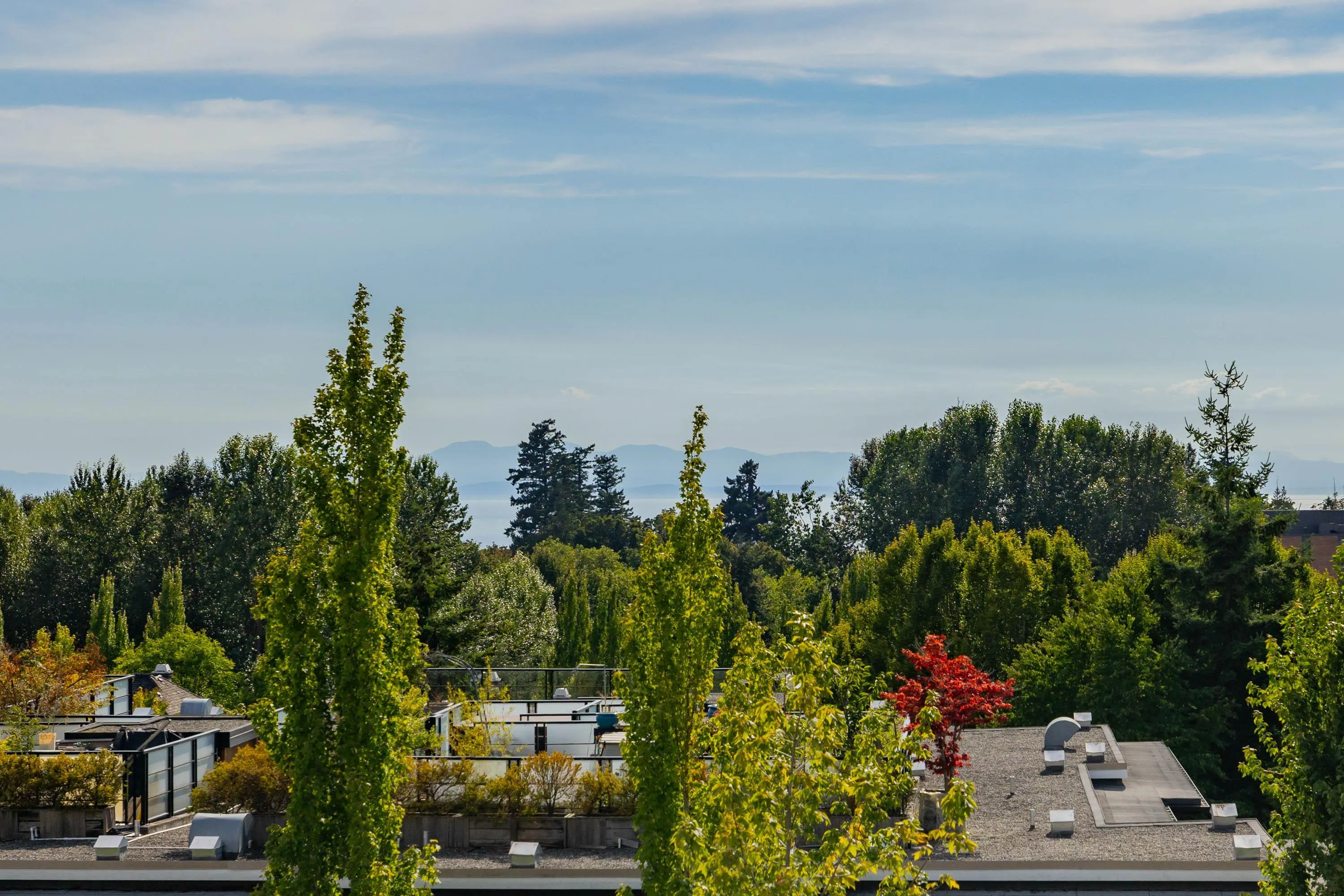 120 6328 Larkin Drive
