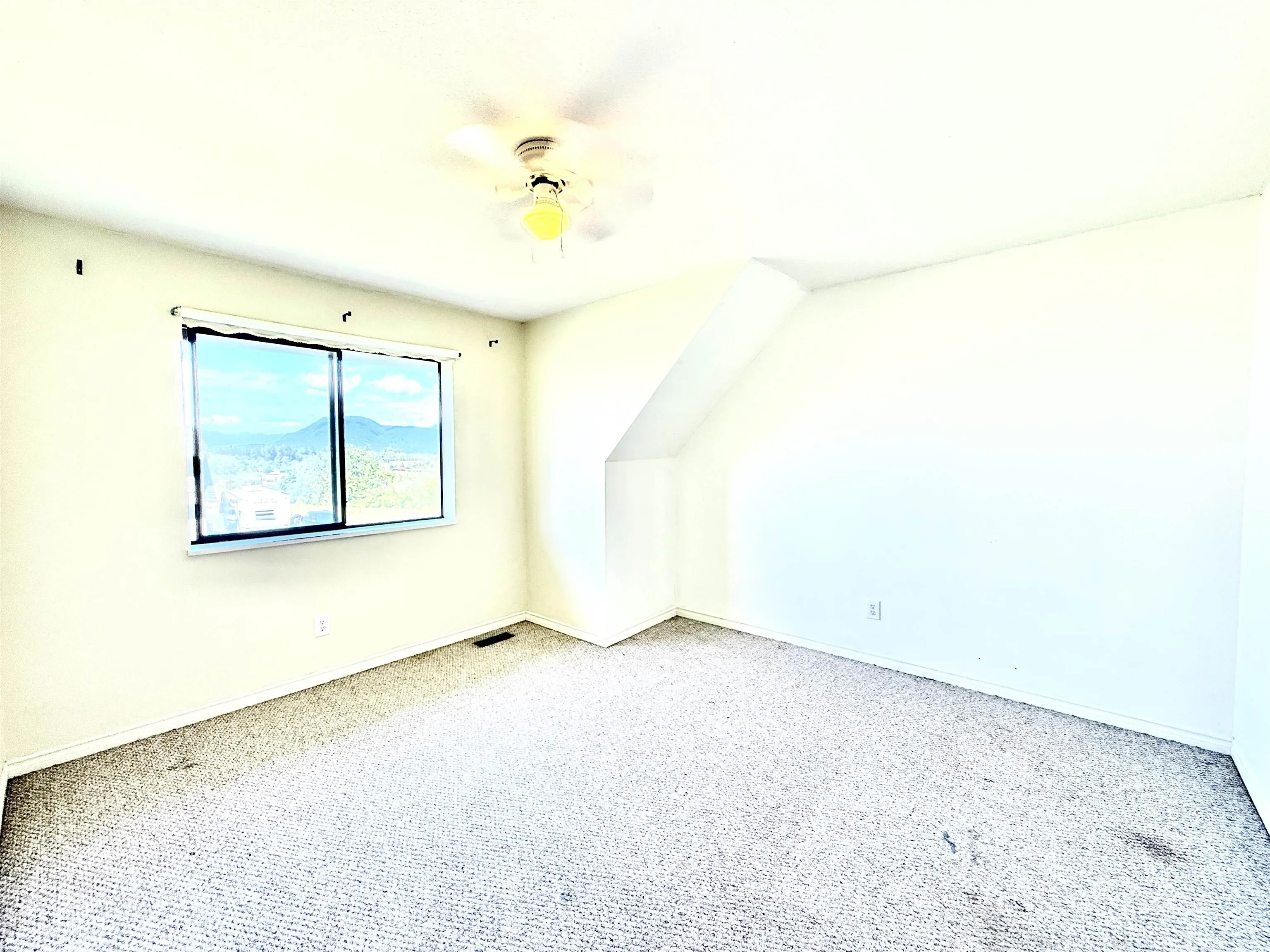 12459 Meadow Brook Place