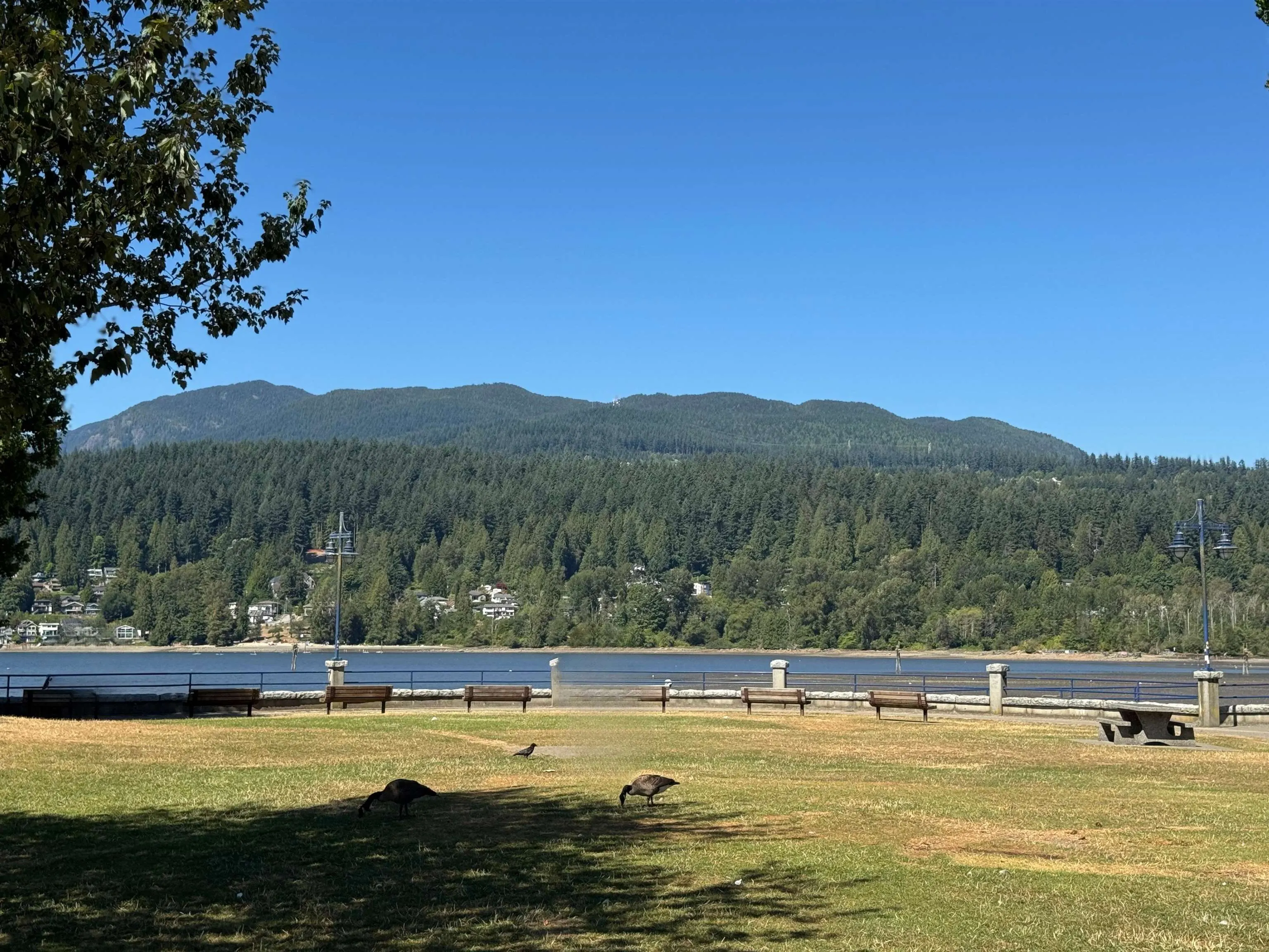 310 160 Shoreline Circle
