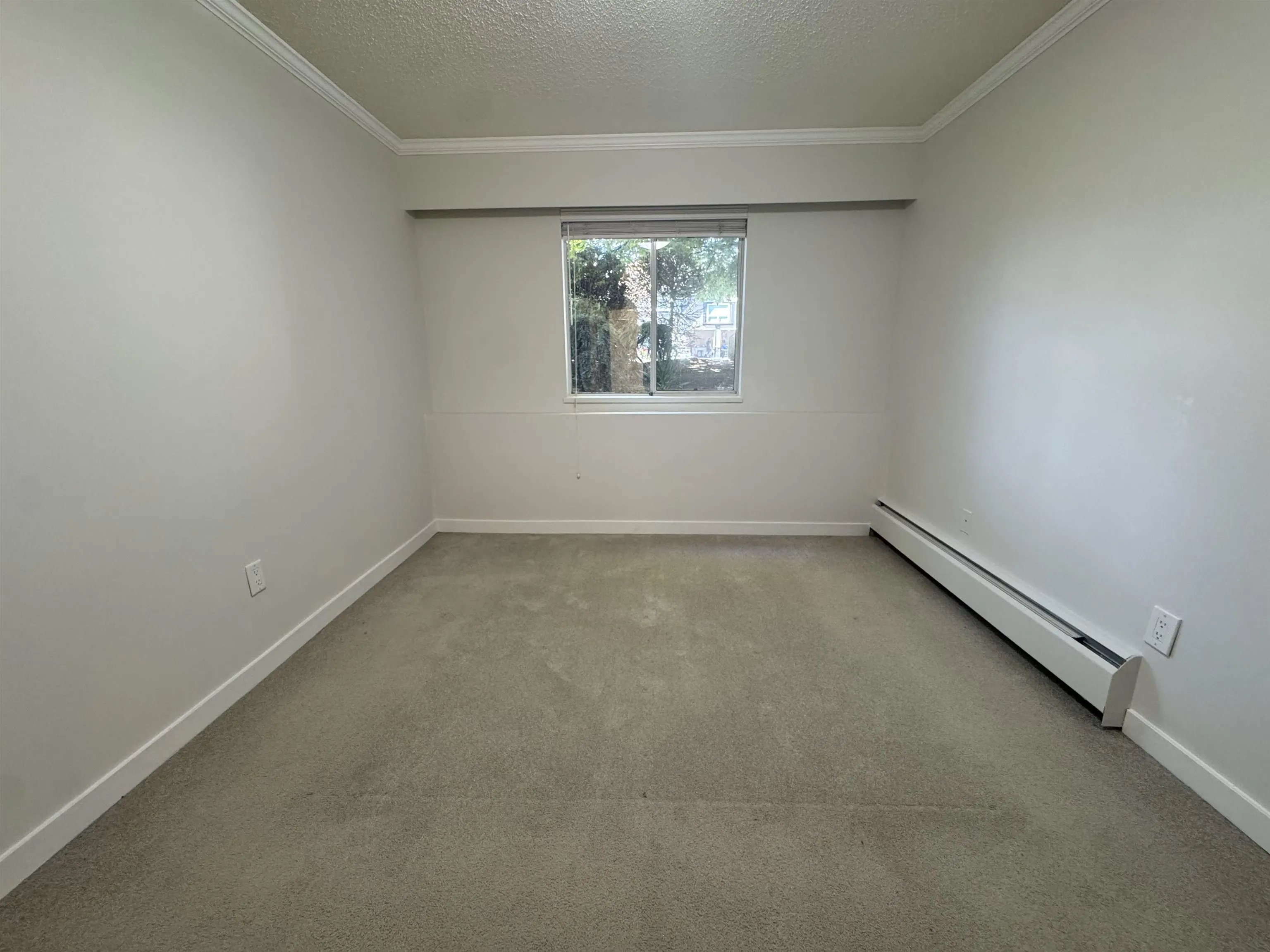 124 11806 88th Avenue
