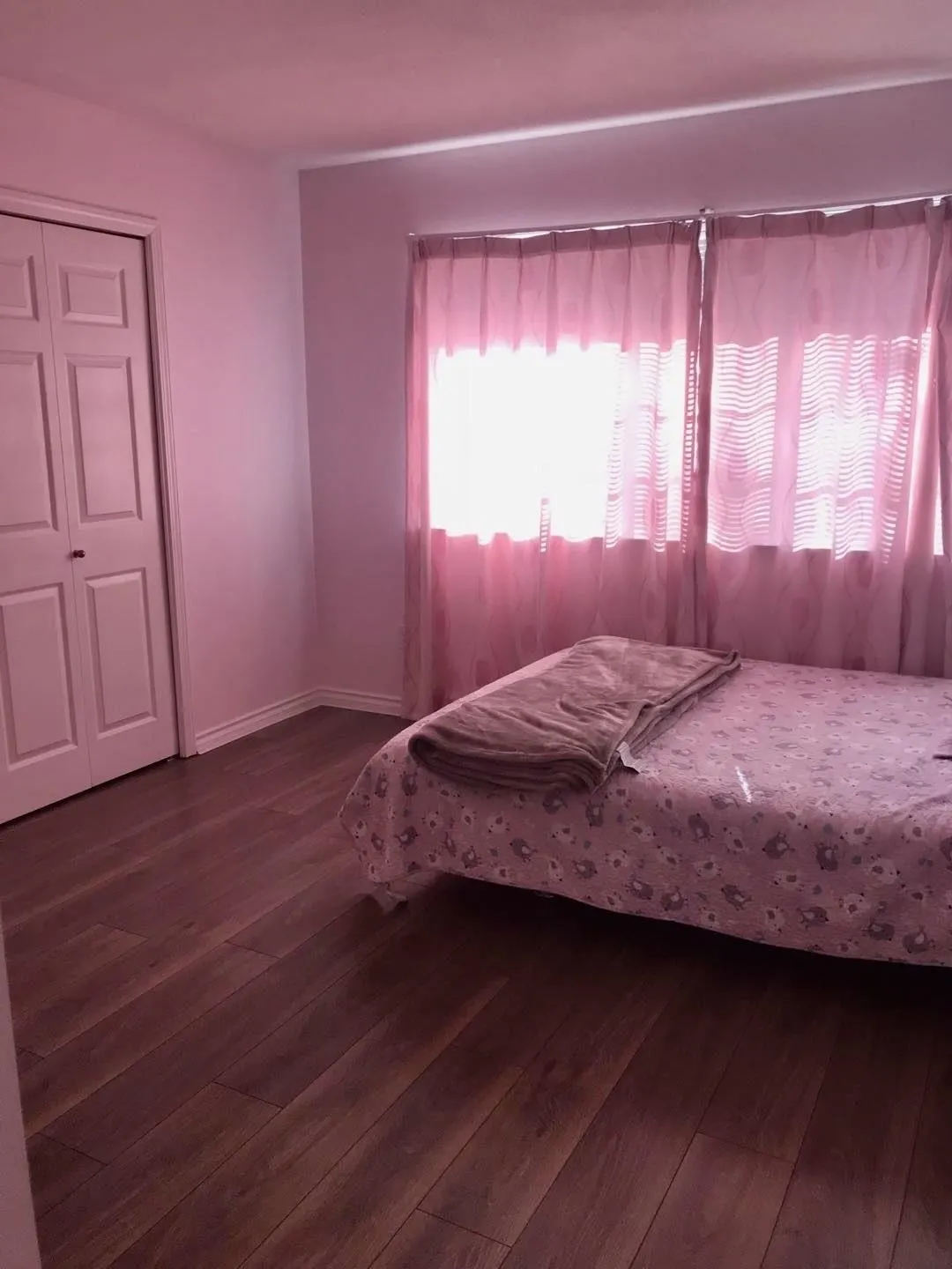 5553 Hankin Drive