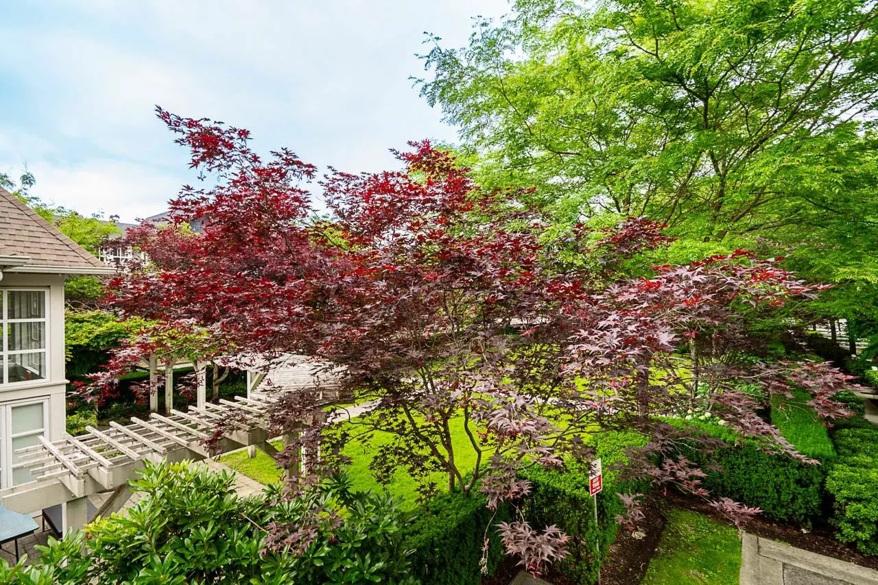 8 2418 Avon Place