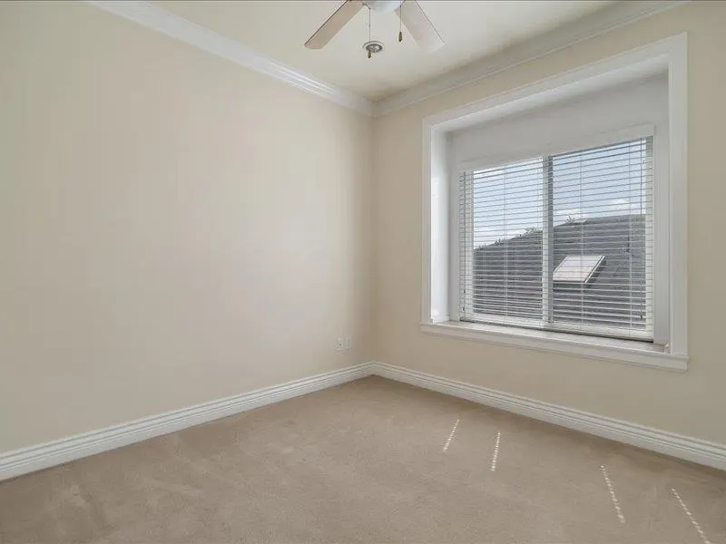 347 Fenton Street