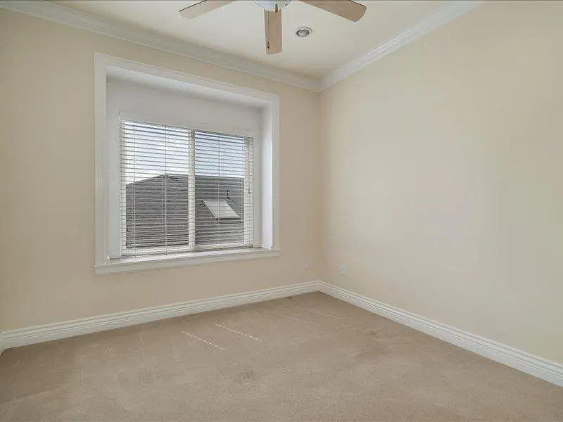 347 Fenton Street