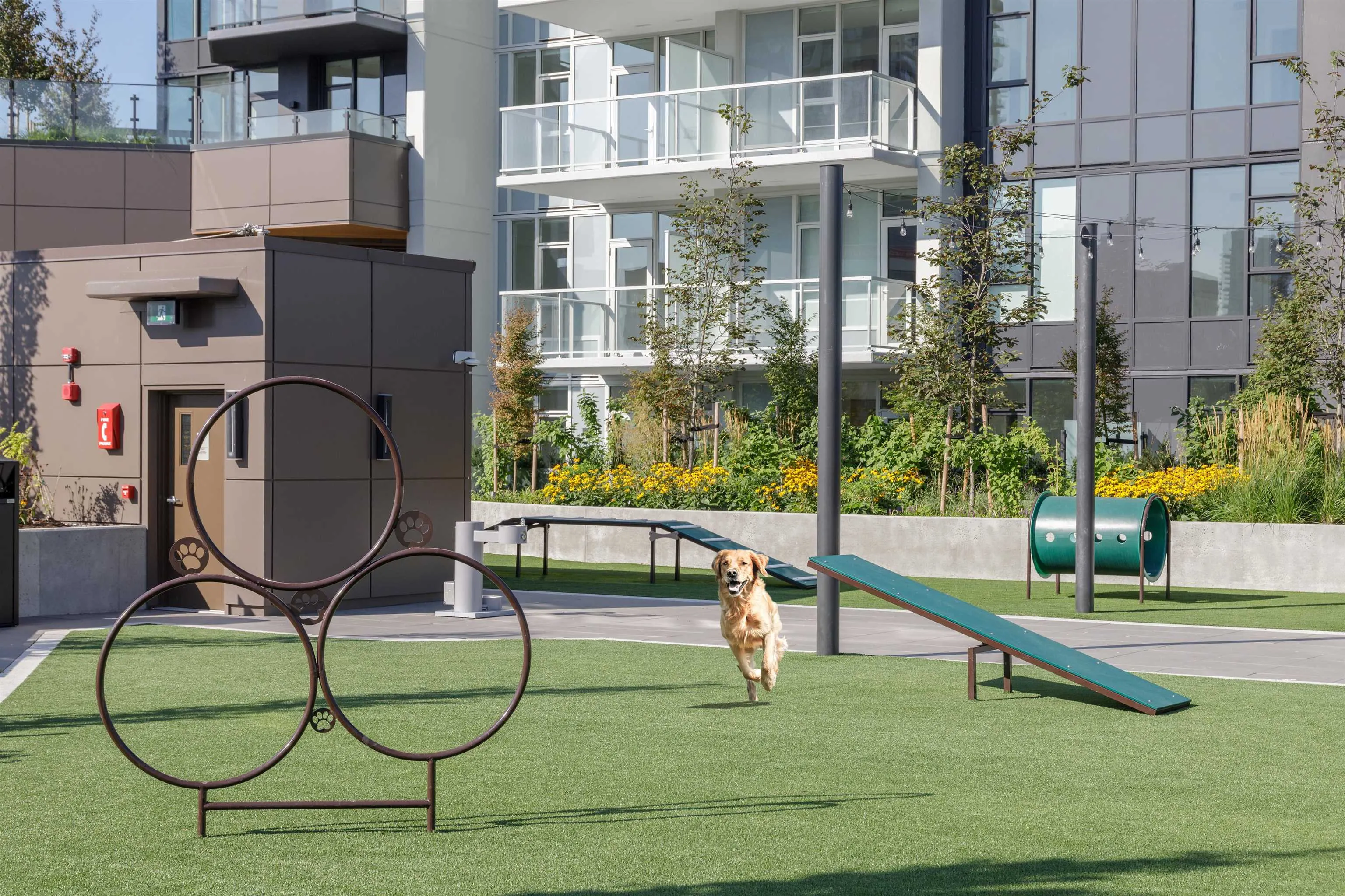 2907 4168 Lougheed Highway