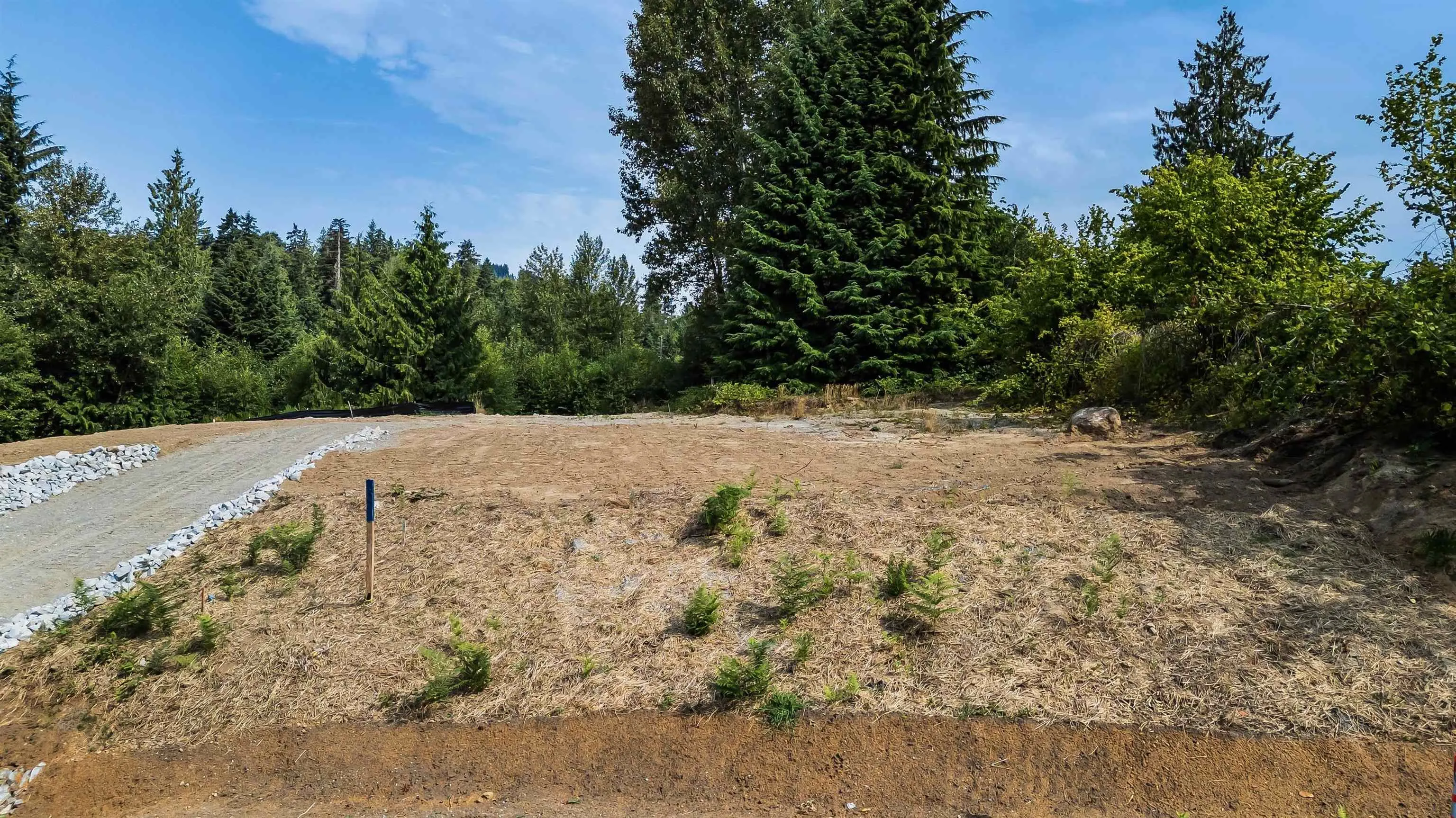 LT.2 34339 Ferndale Avenue