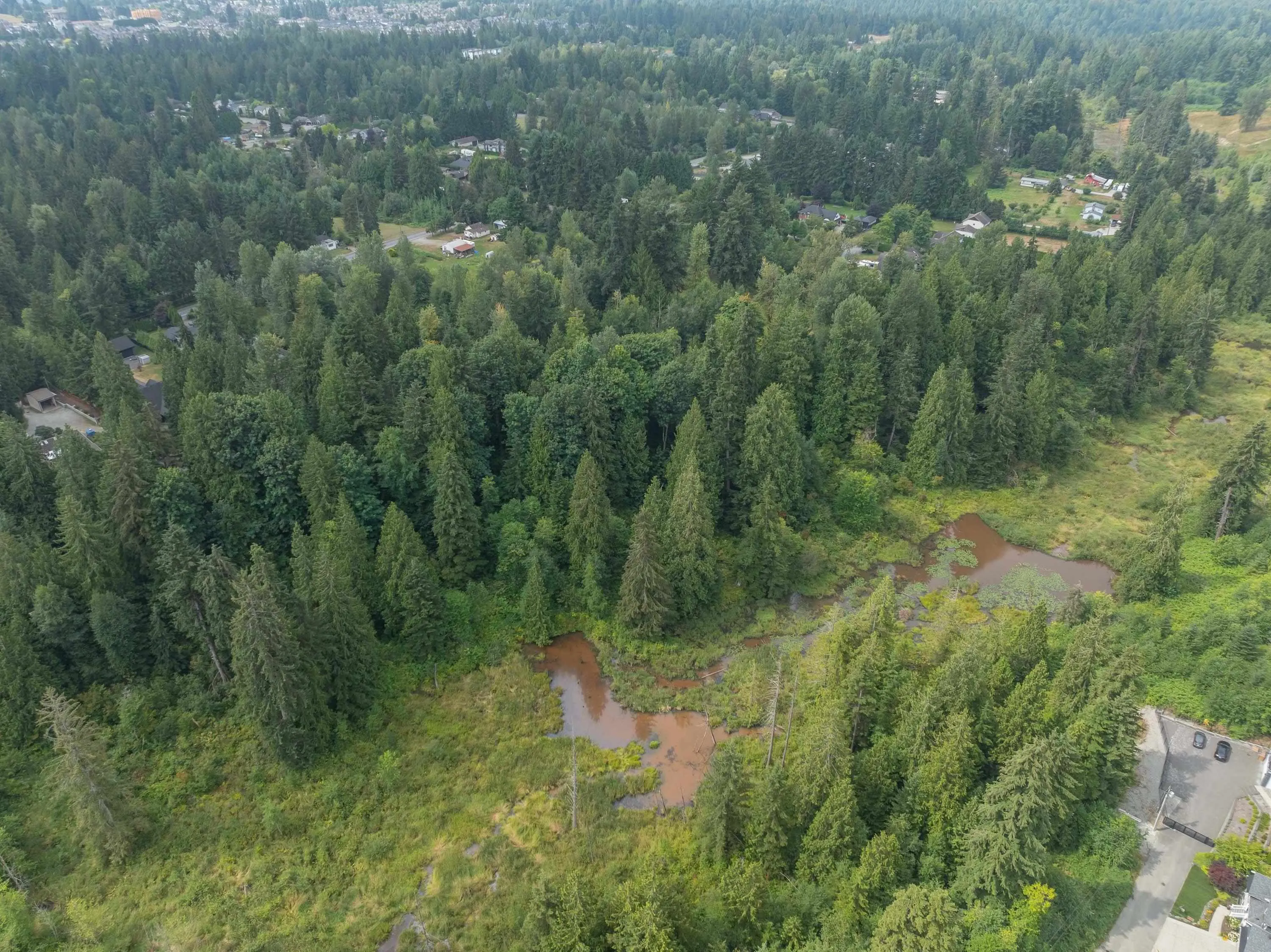 33181 Dewdney Trunk Road