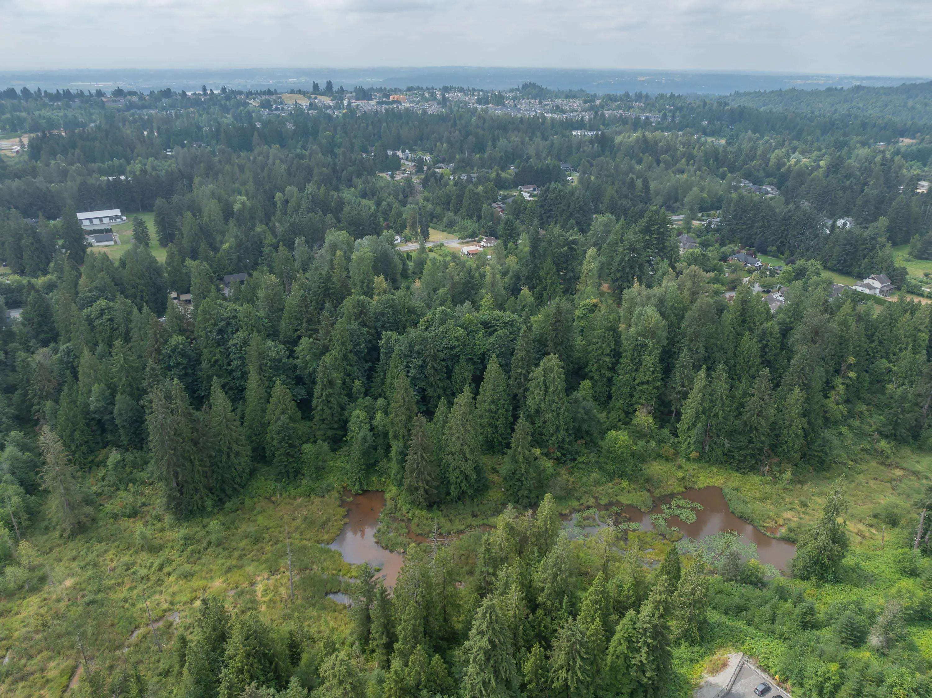 33181 Dewdney Trunk Road