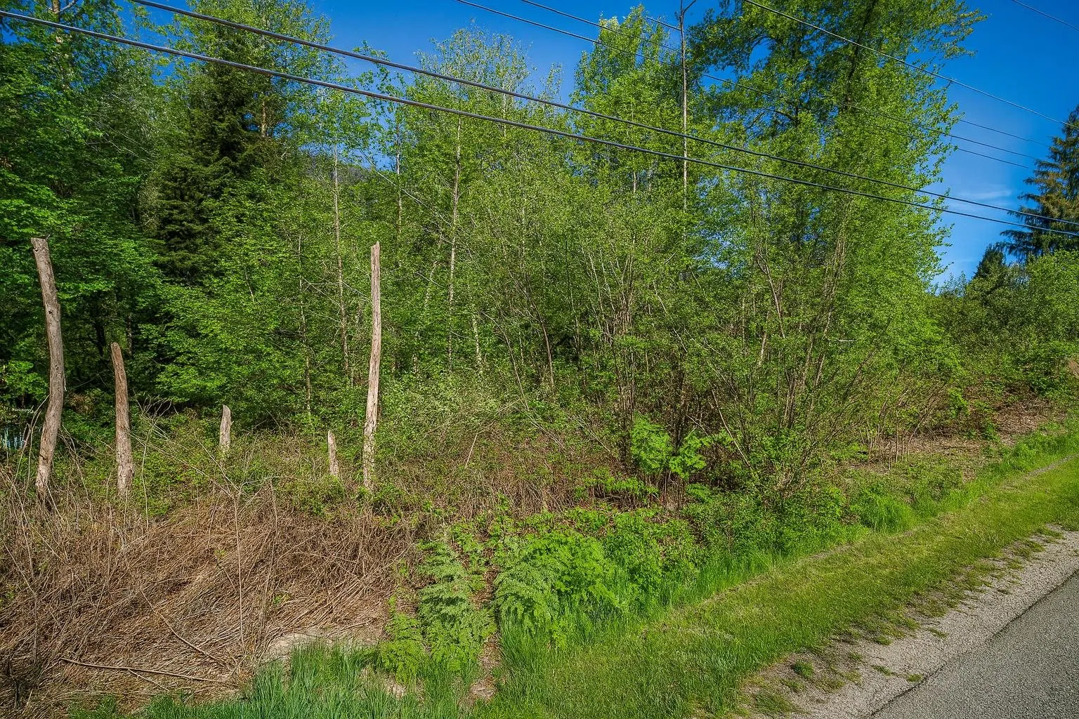 12999 Stave Lake Road