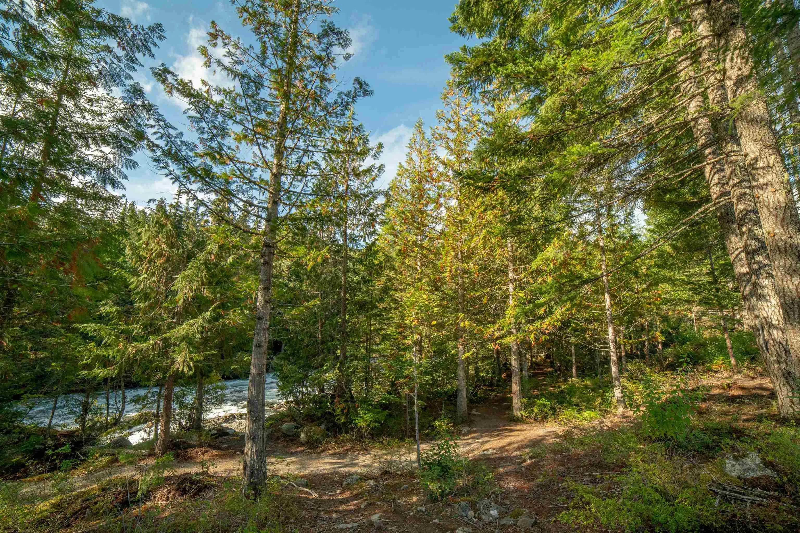1726 River Run Place