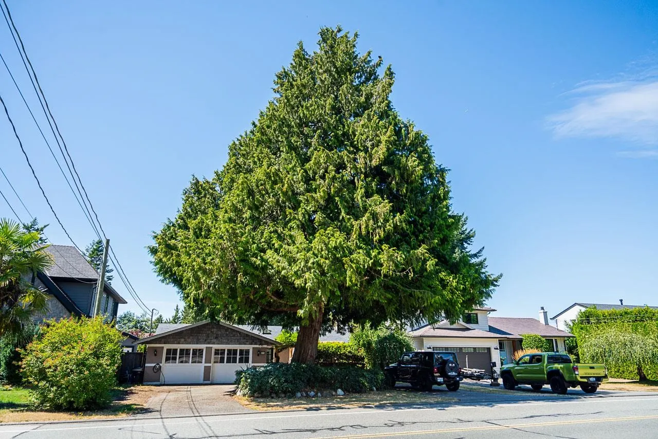 173 English Bluff Road