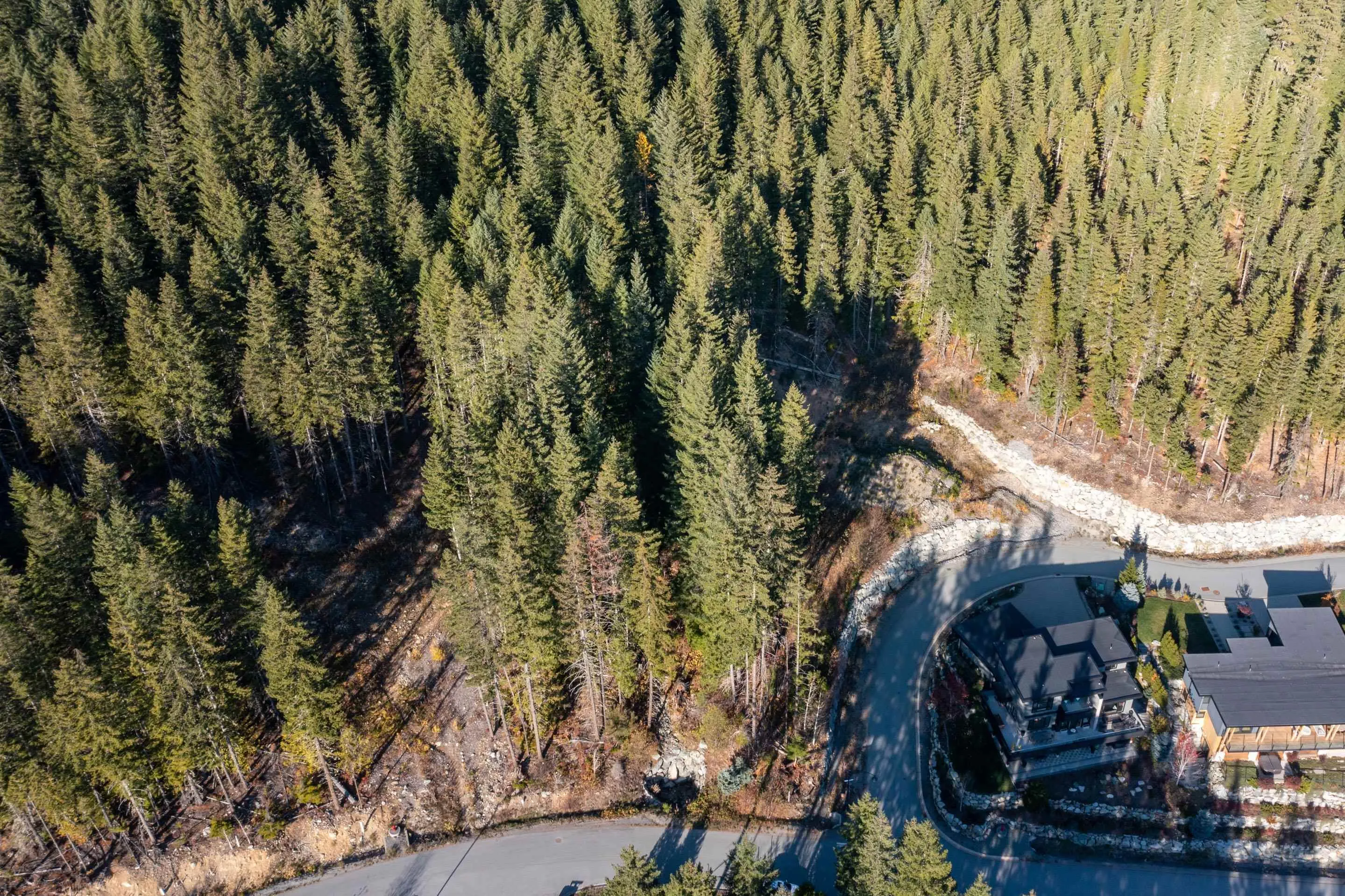 8590 Ashleigh Mcivor Drive
