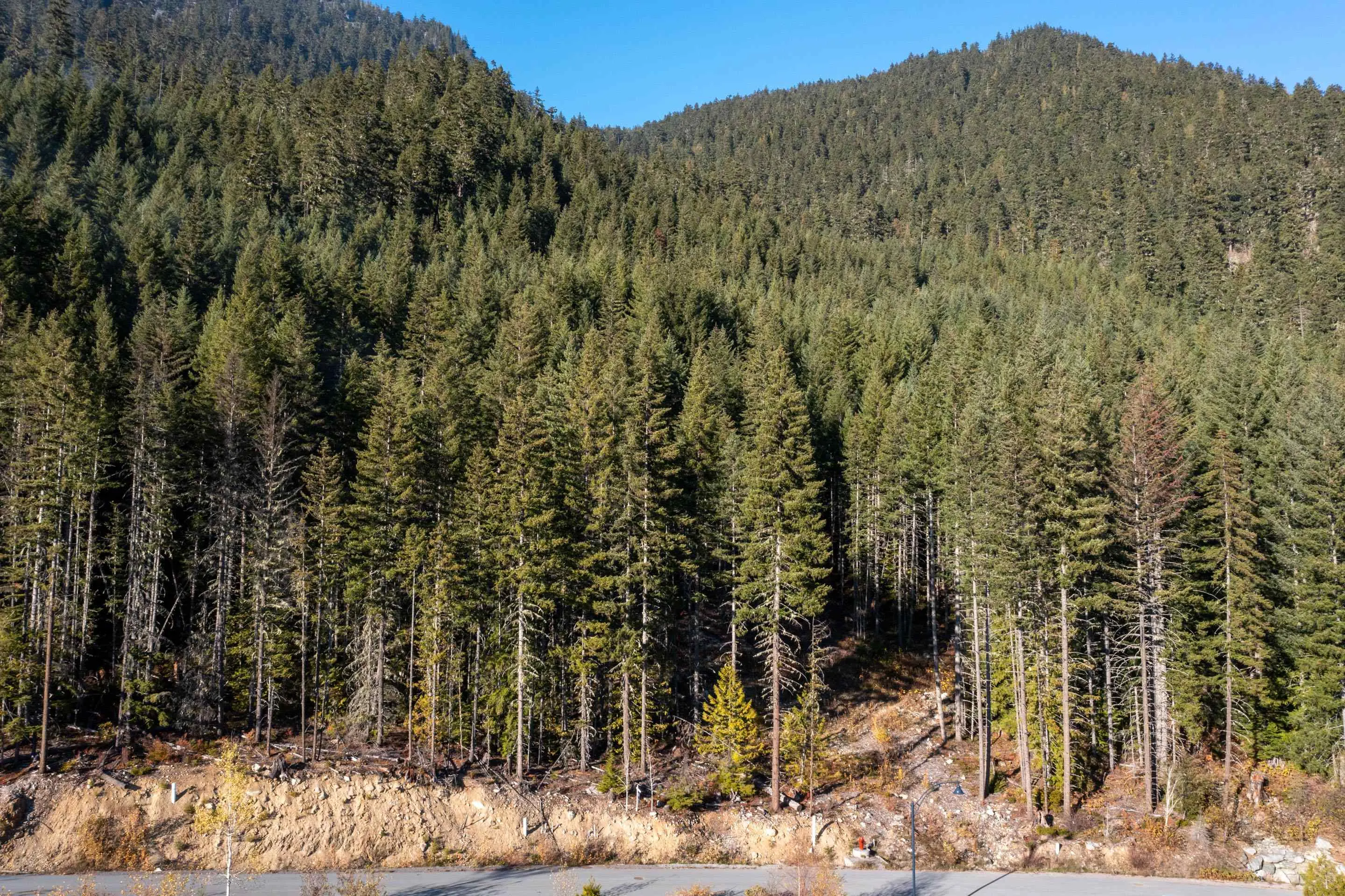8594 Ashleigh Mcivor Drive