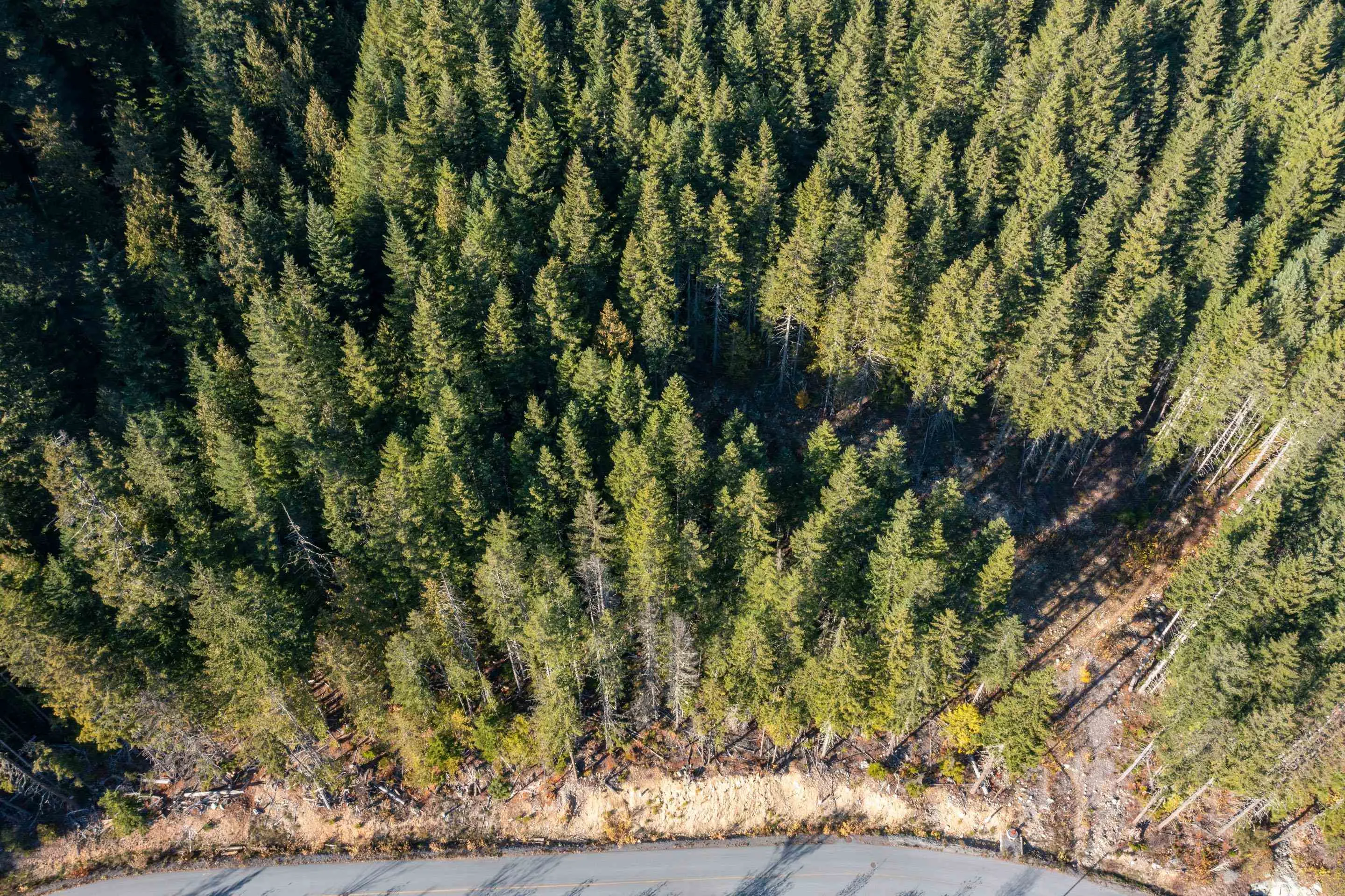 8594 Ashleigh Mcivor Drive