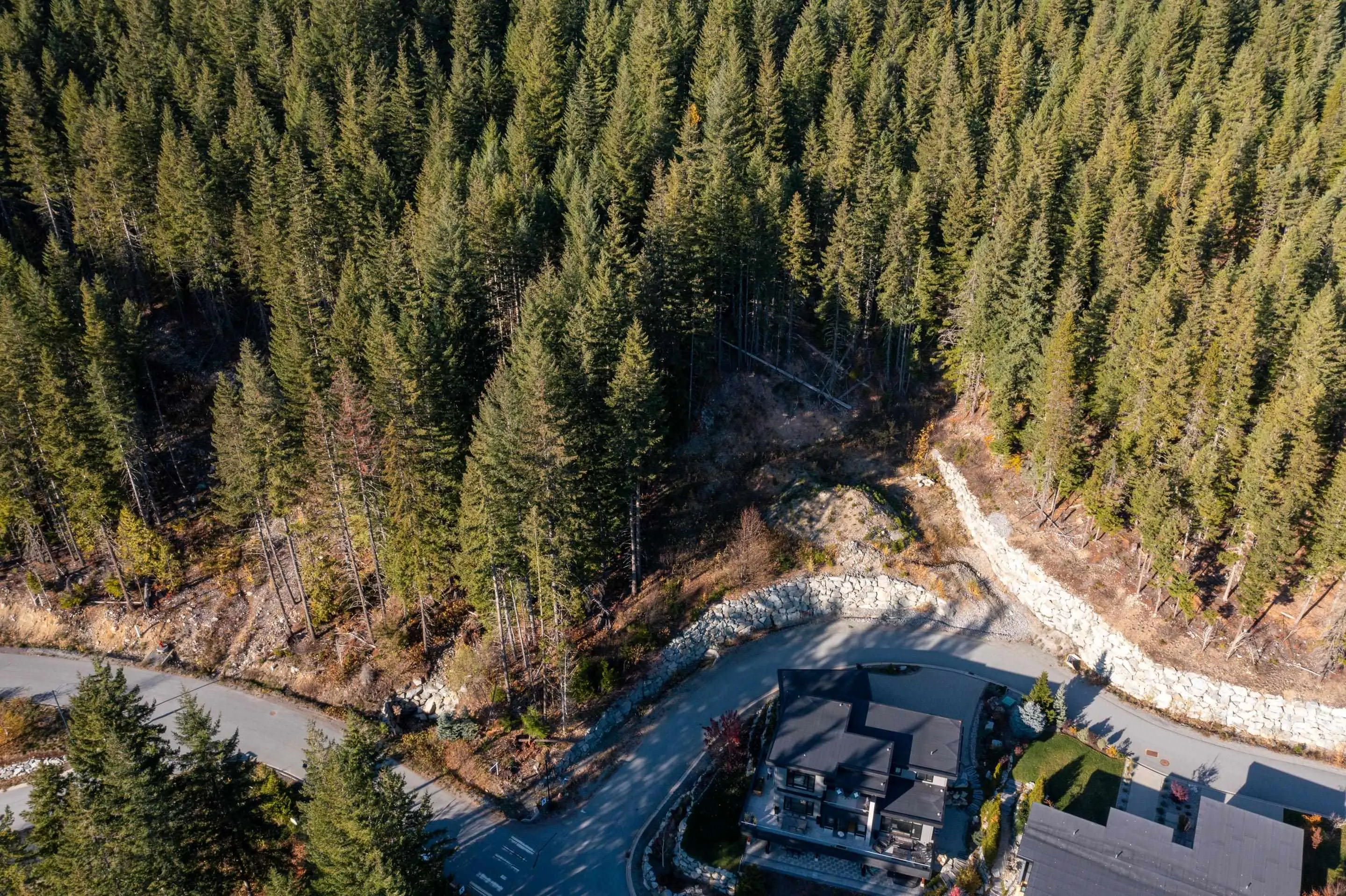 8594 Ashleigh Mcivor Drive
