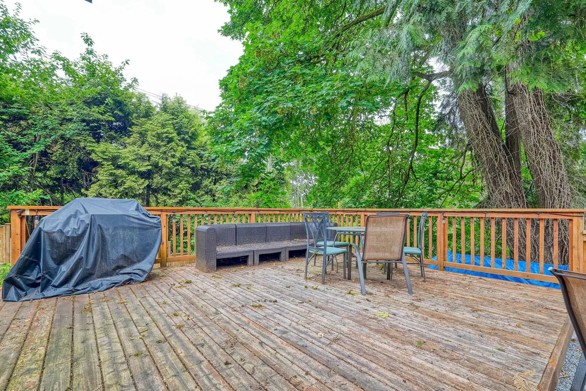 17 Mount Royal Drive