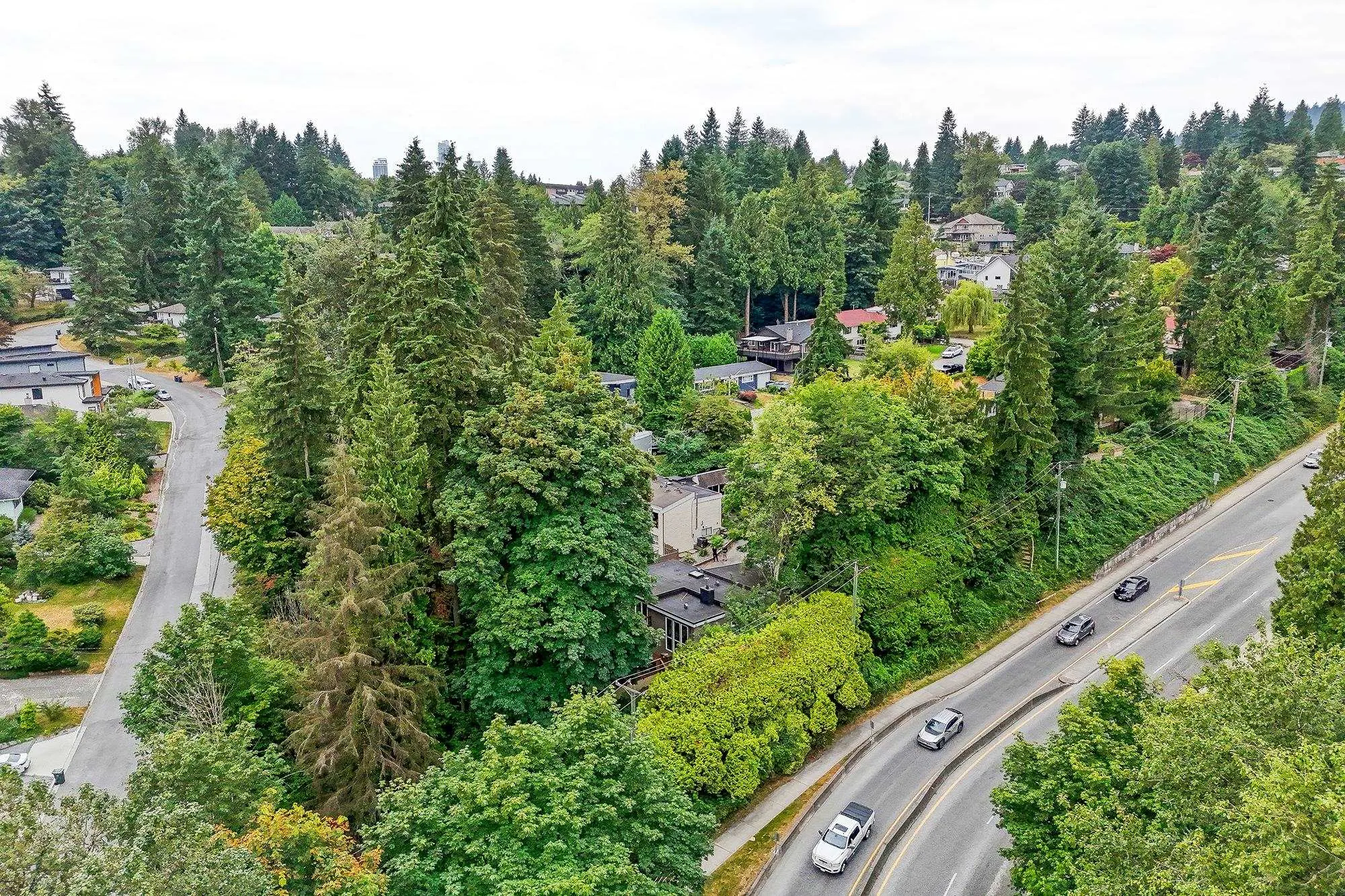 17 Mount Royal Drive