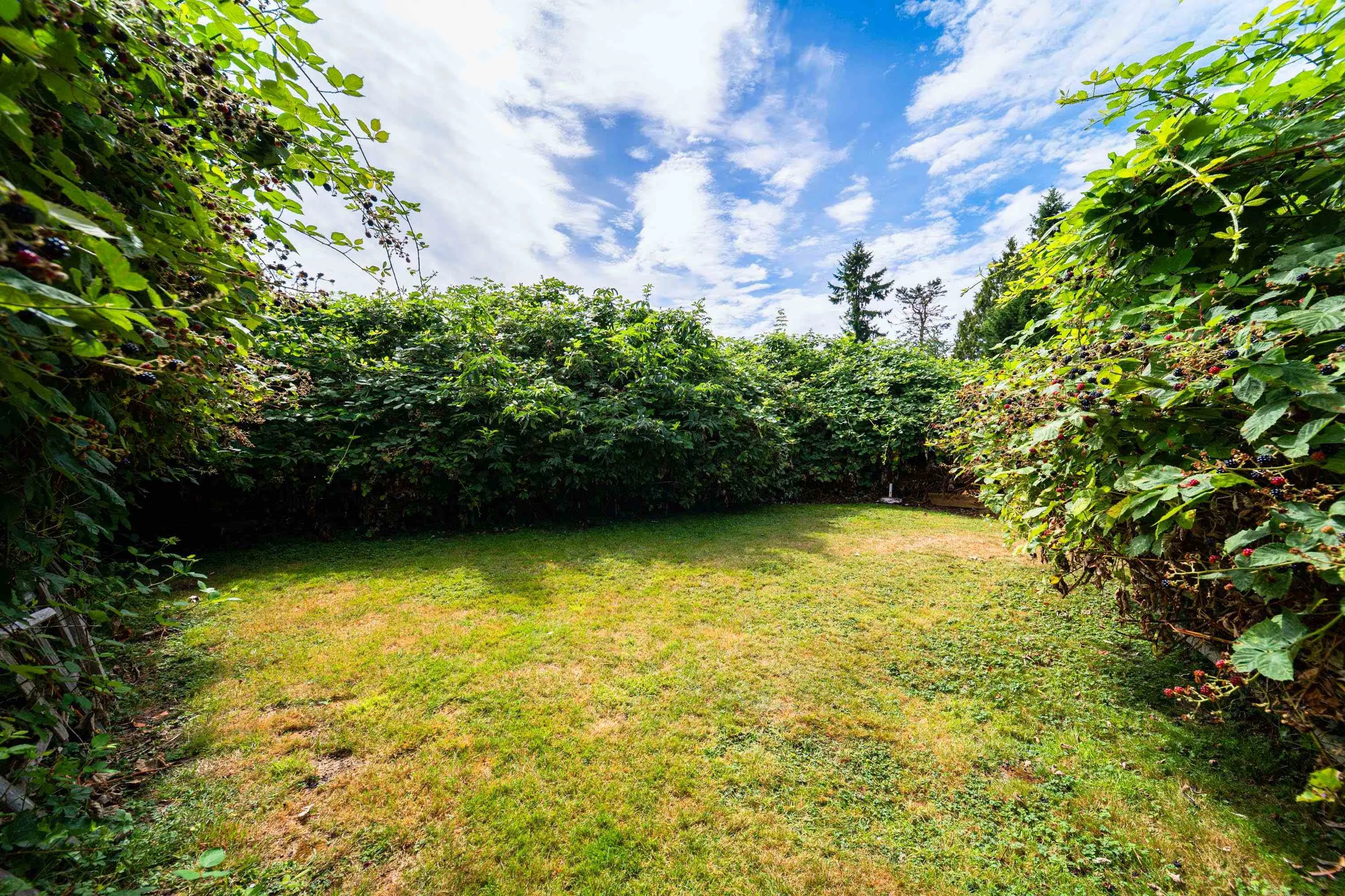 4180 Brown Road