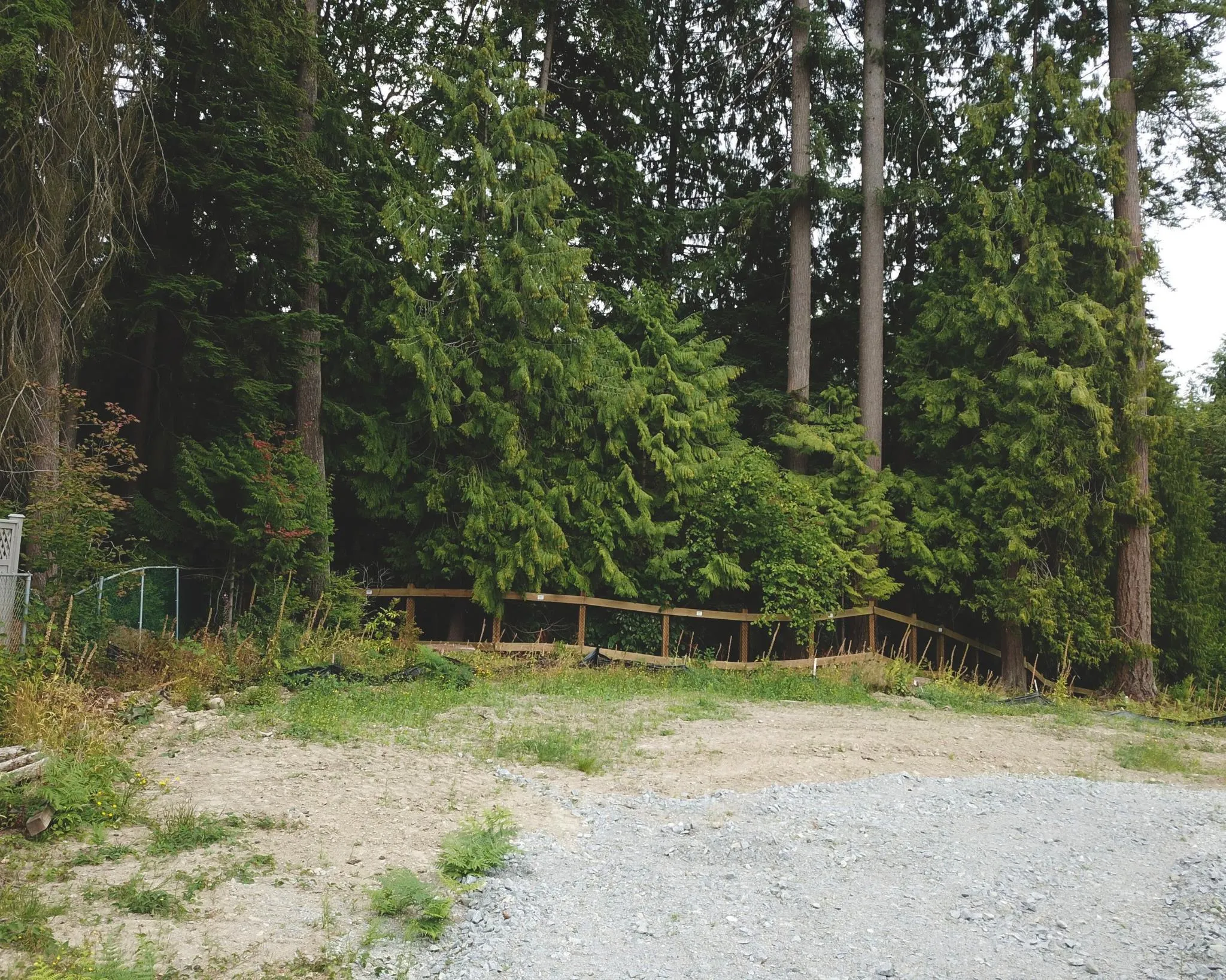 3338 Forestgate Place