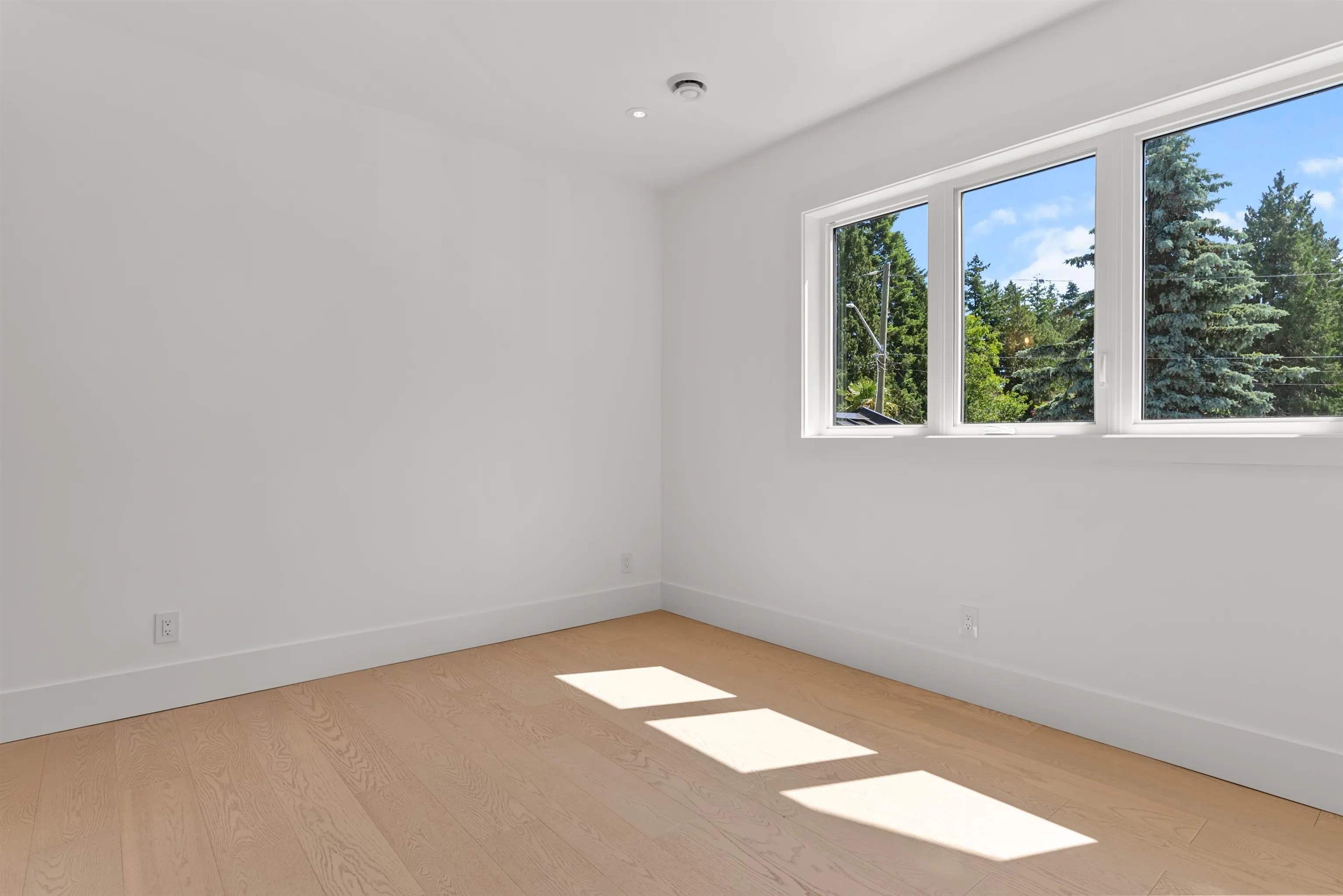 1519 Braid Road