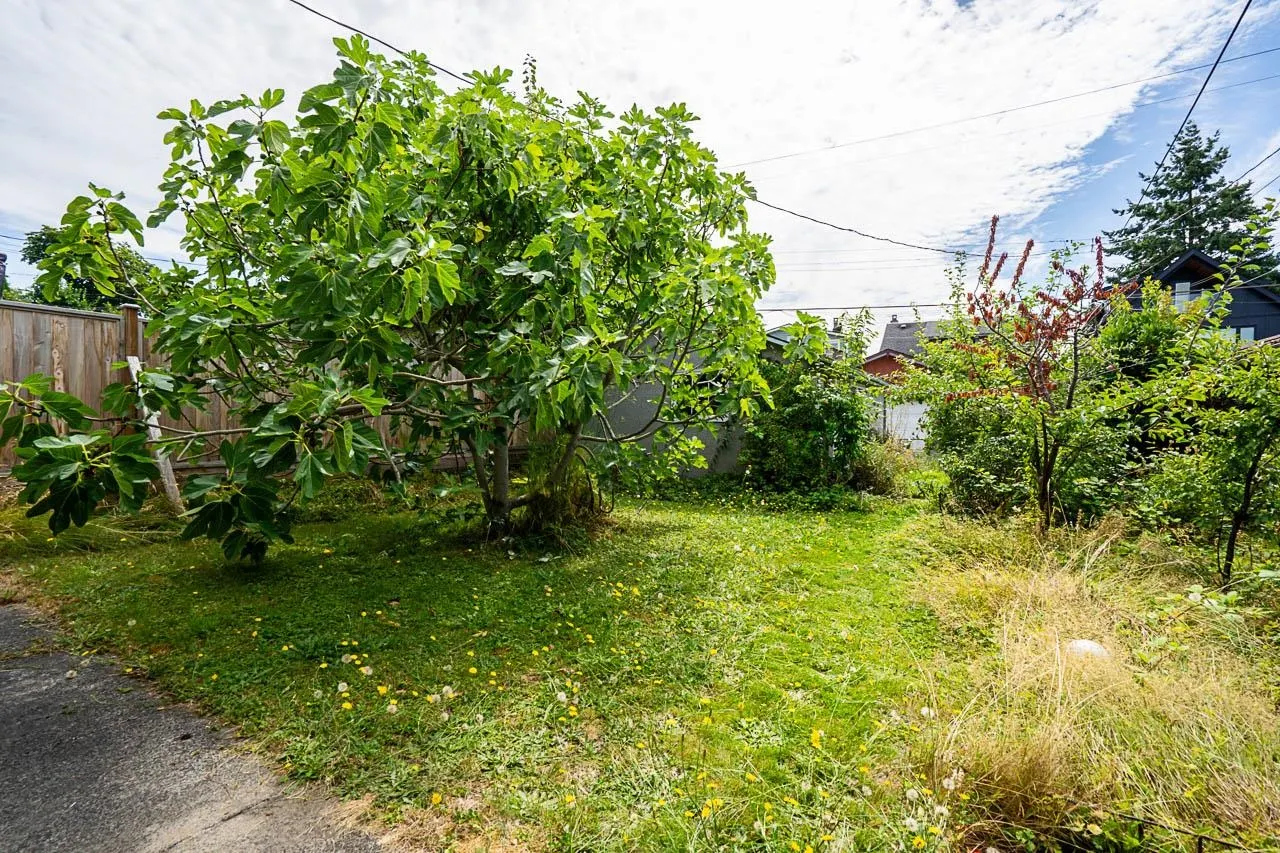 2554 Dundas Street