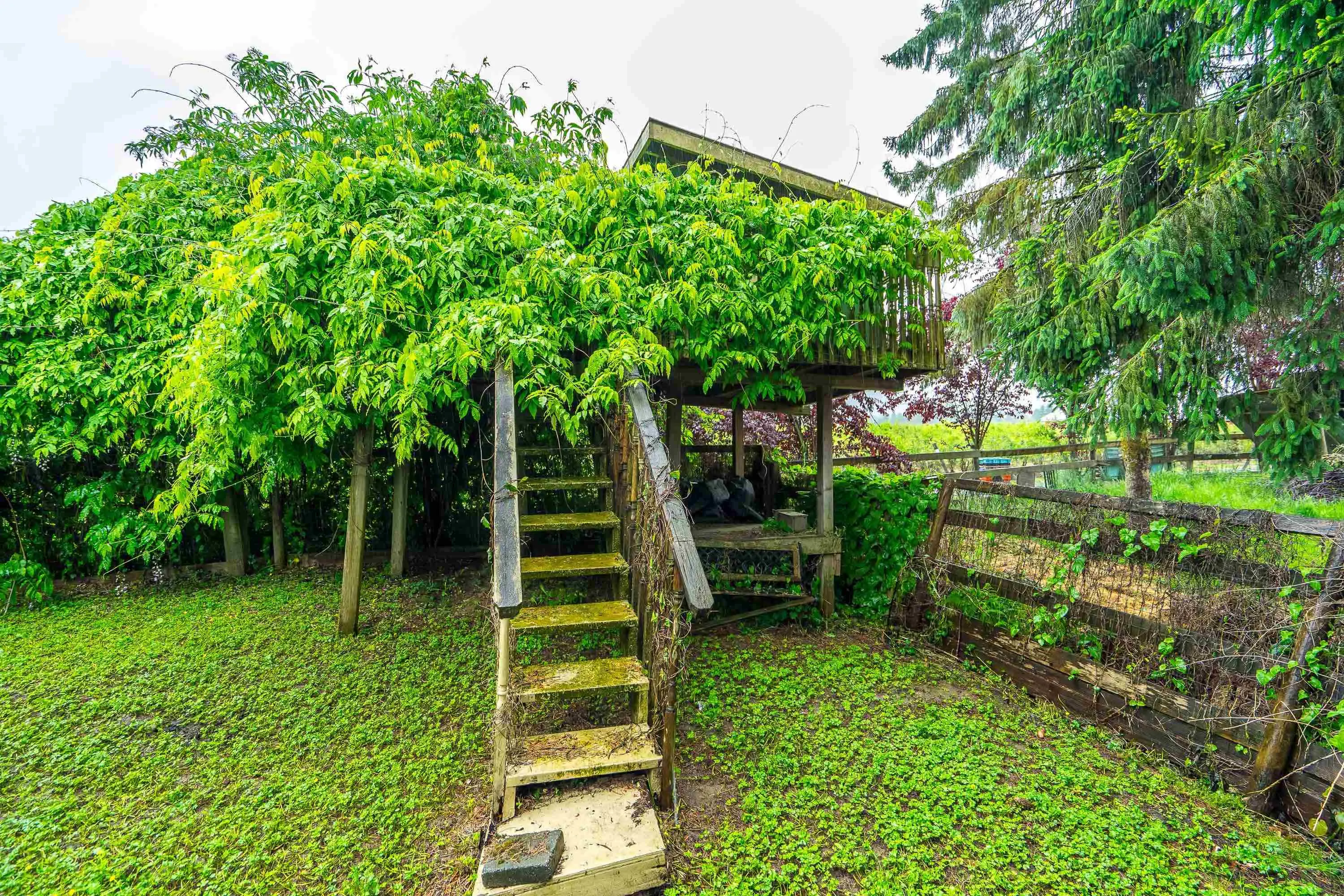28995 Mctavish Road