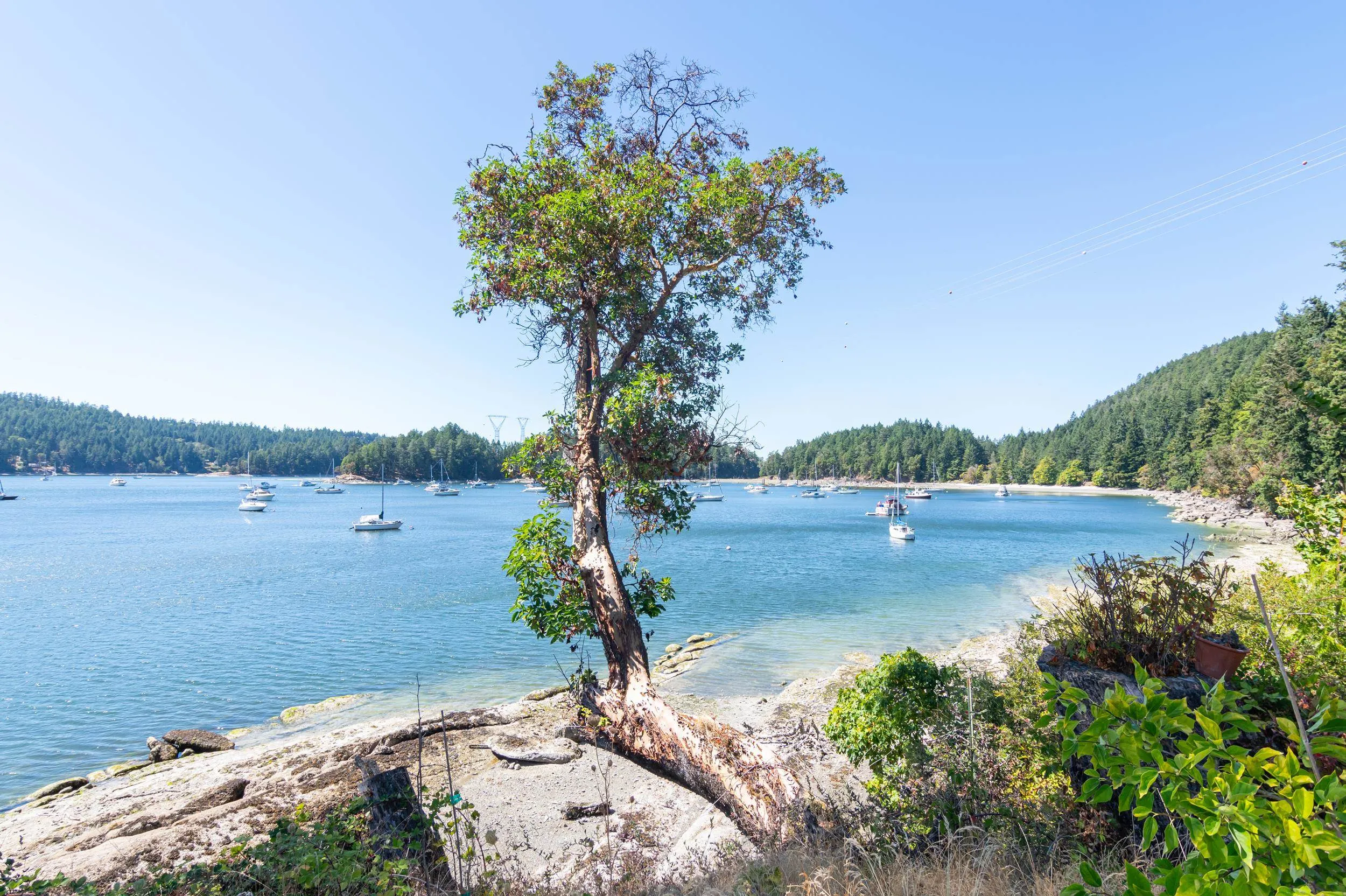 479 Montague Park Road