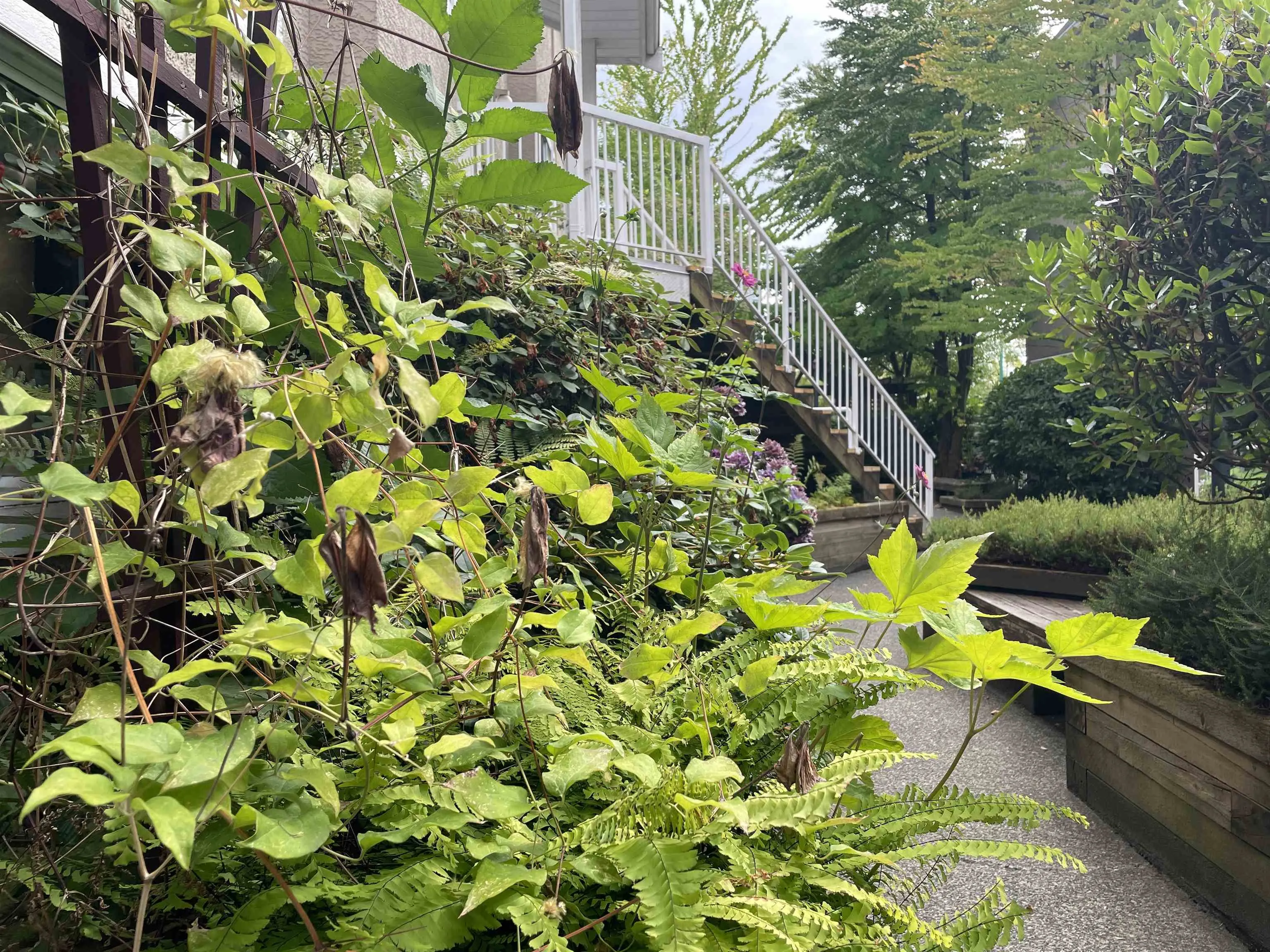 10x 3683 Wellington Avenue