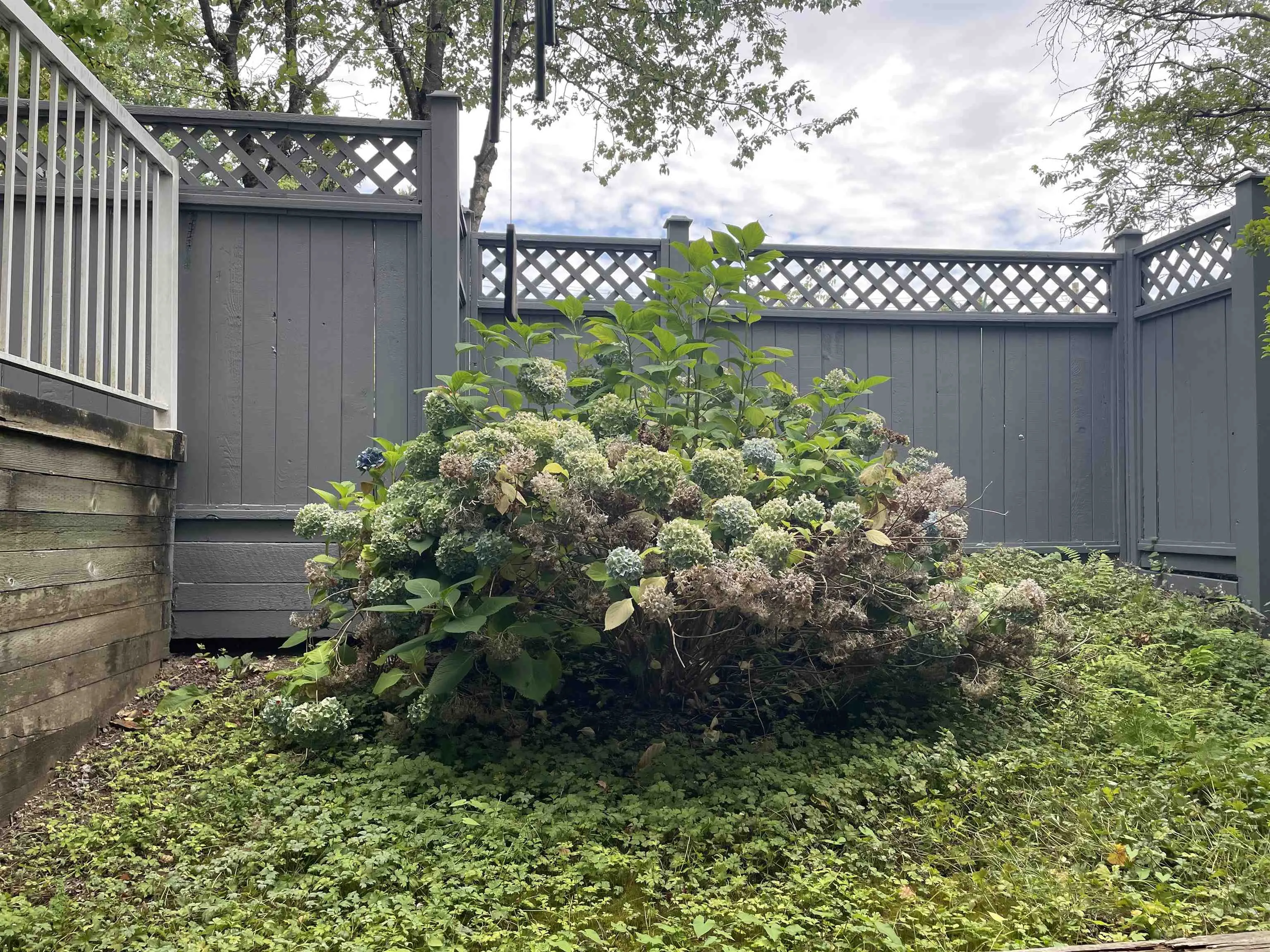 10x 3683 Wellington Avenue