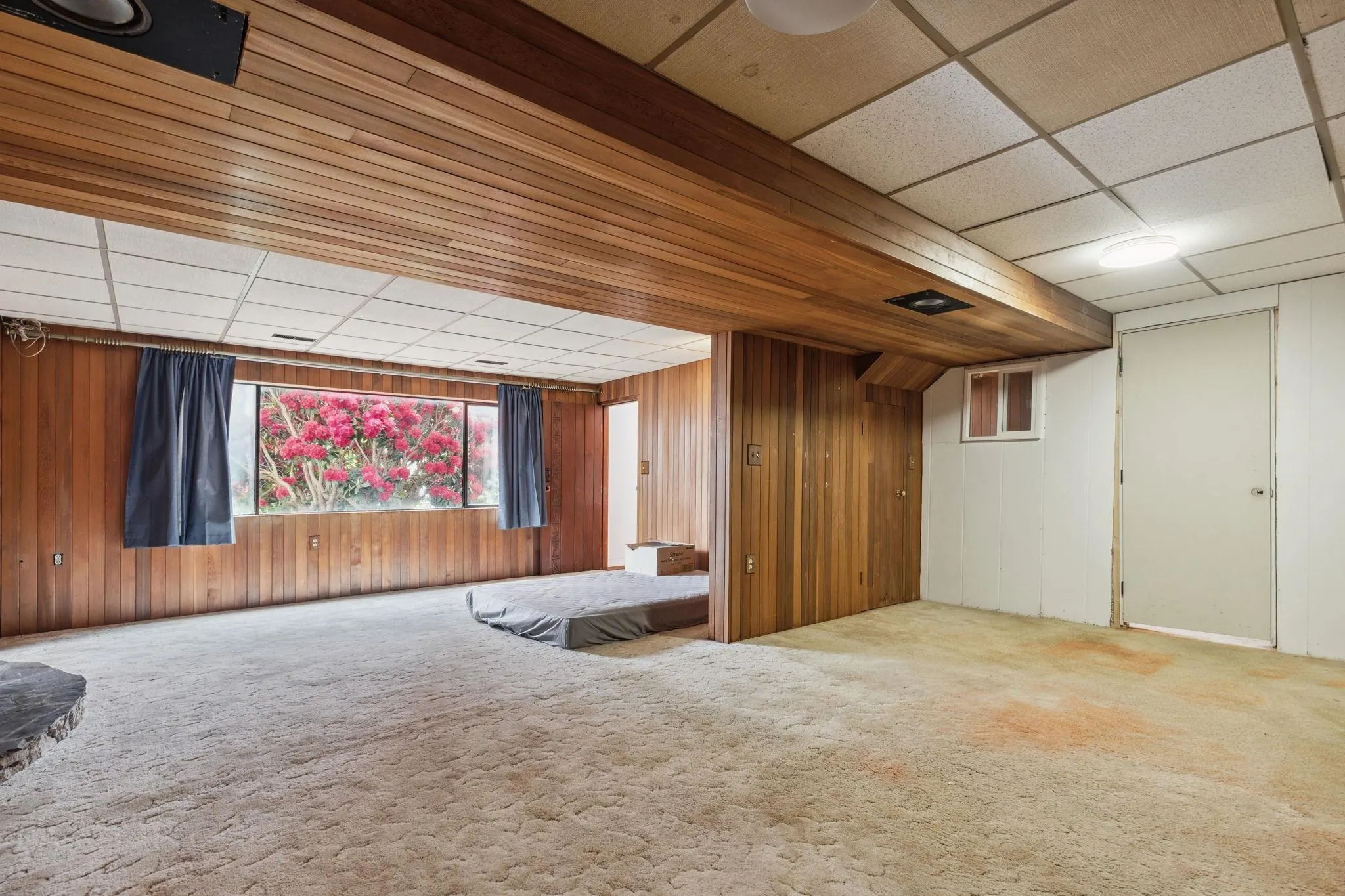 4523 King Edward Place