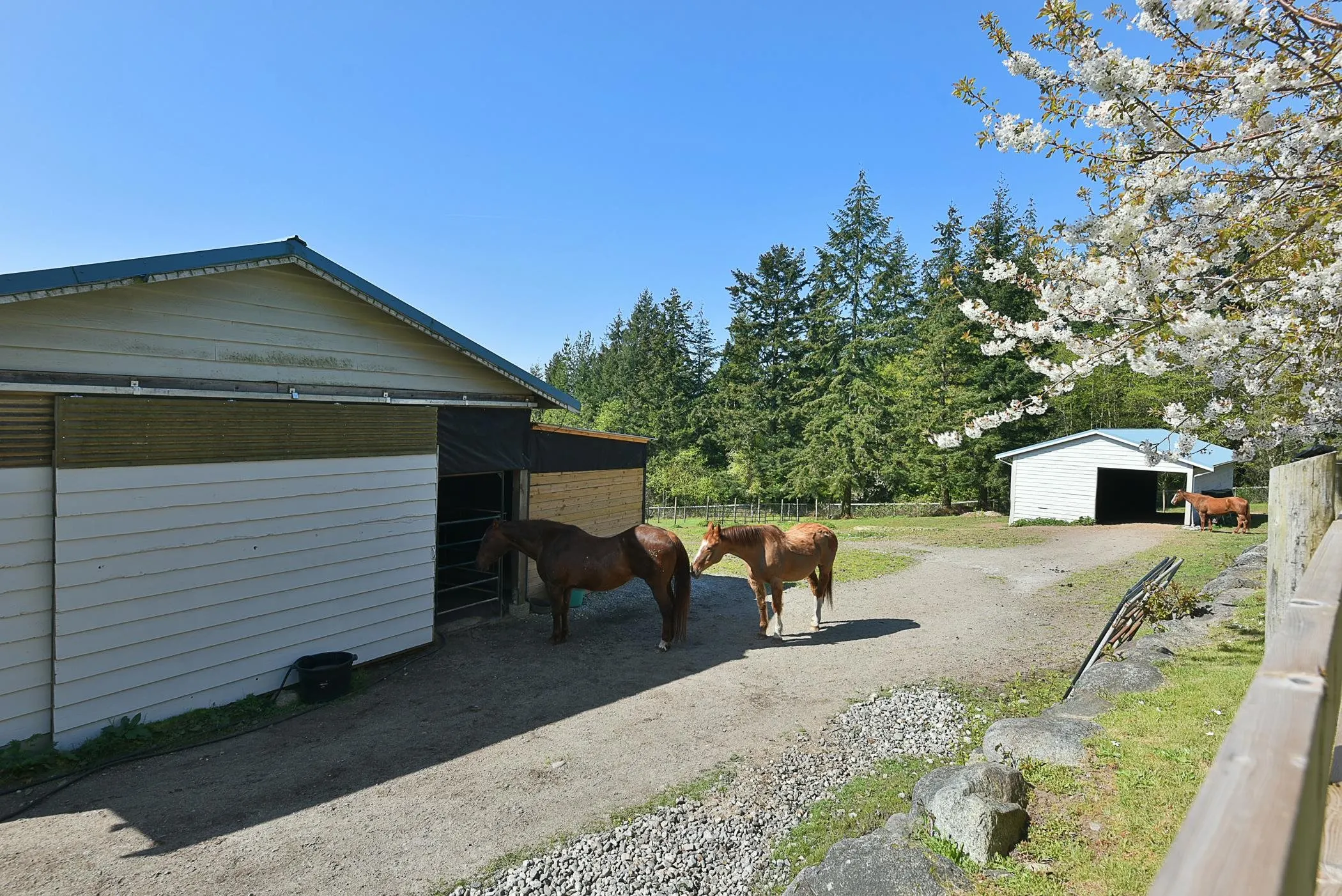 2010 Ranch Road