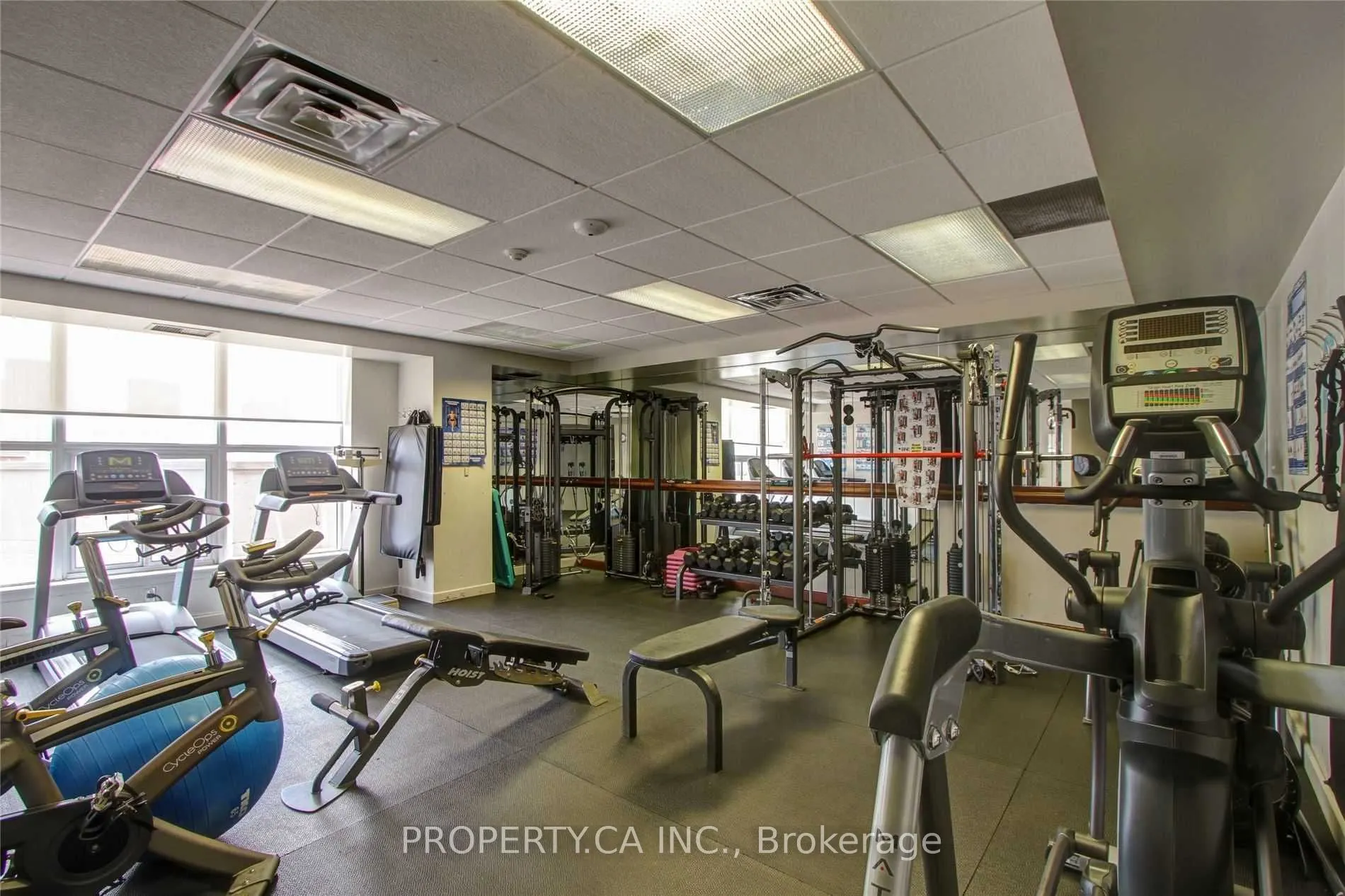 801 King Street W, #217