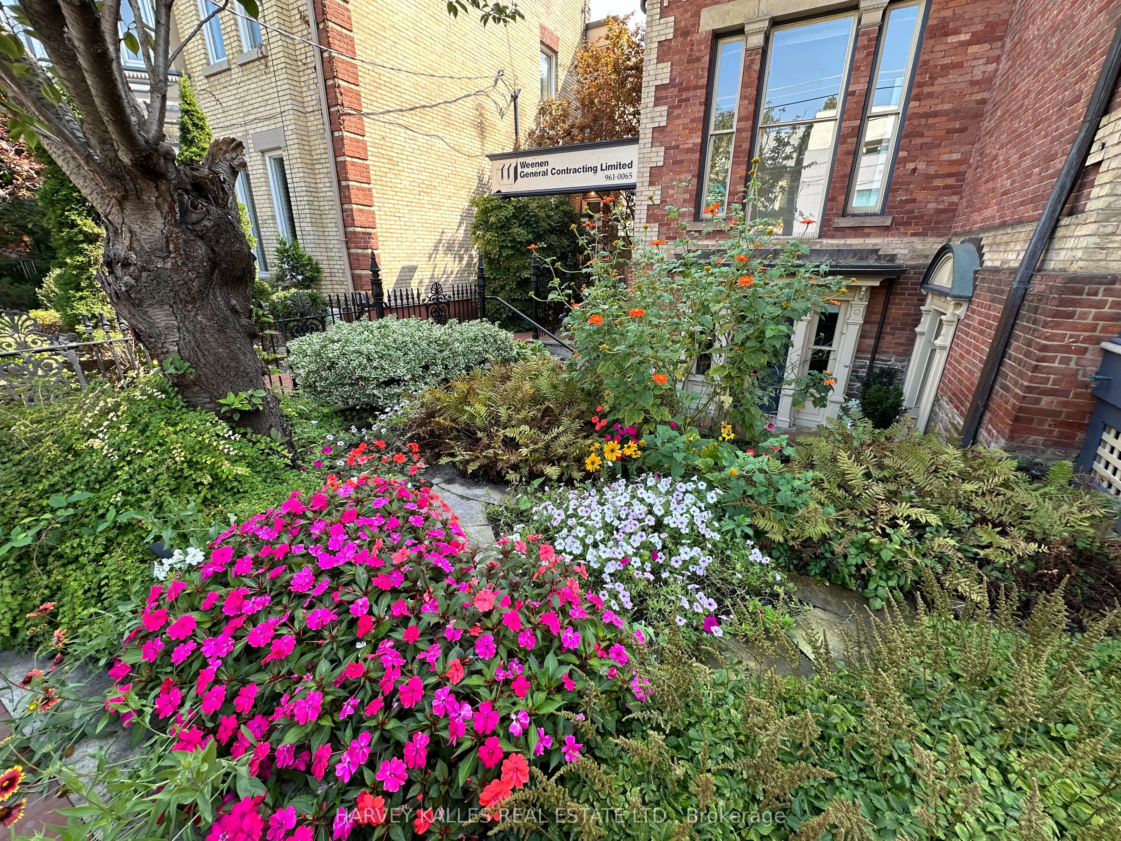 211 Carlton Street, #Lower