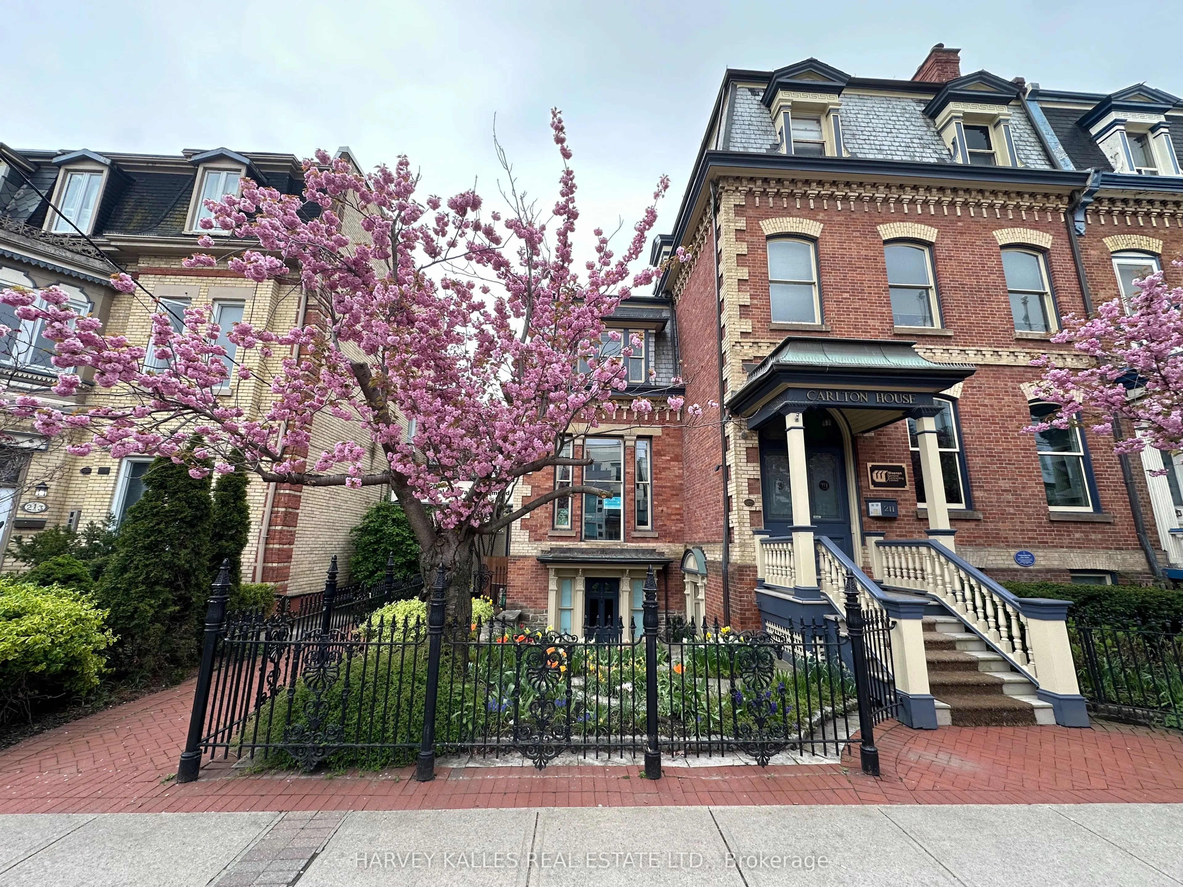 211 Carlton Street, #Lower