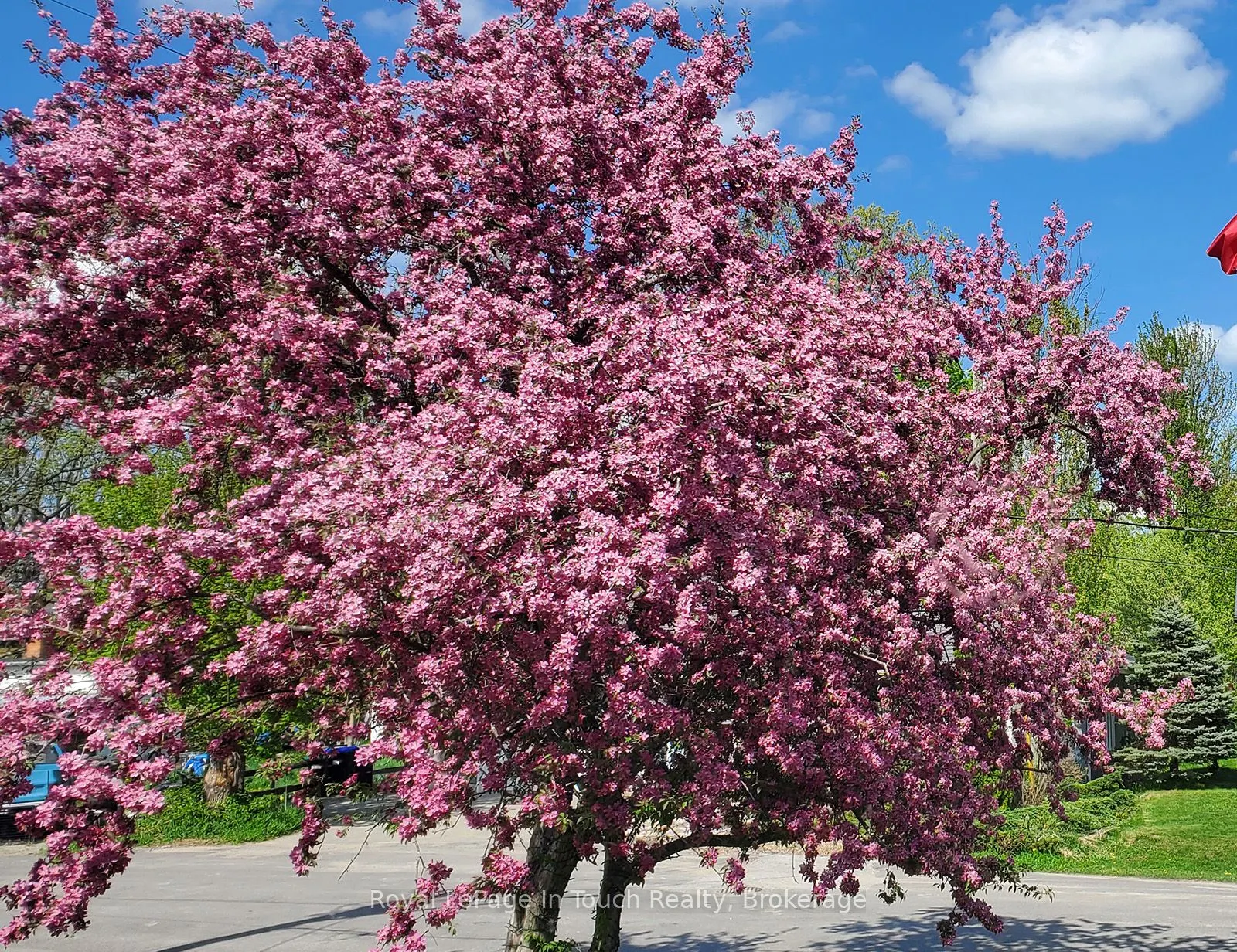 8 Cyril Martin Place