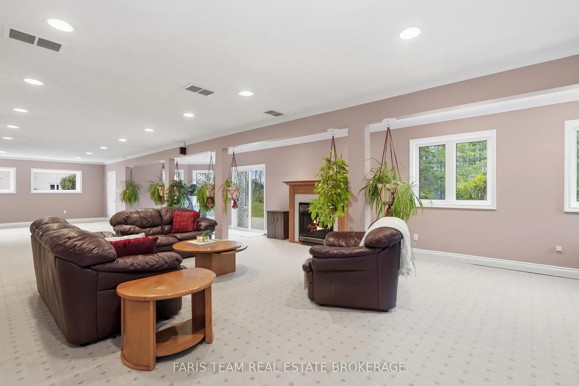 41 Paddy Dunn's Circle