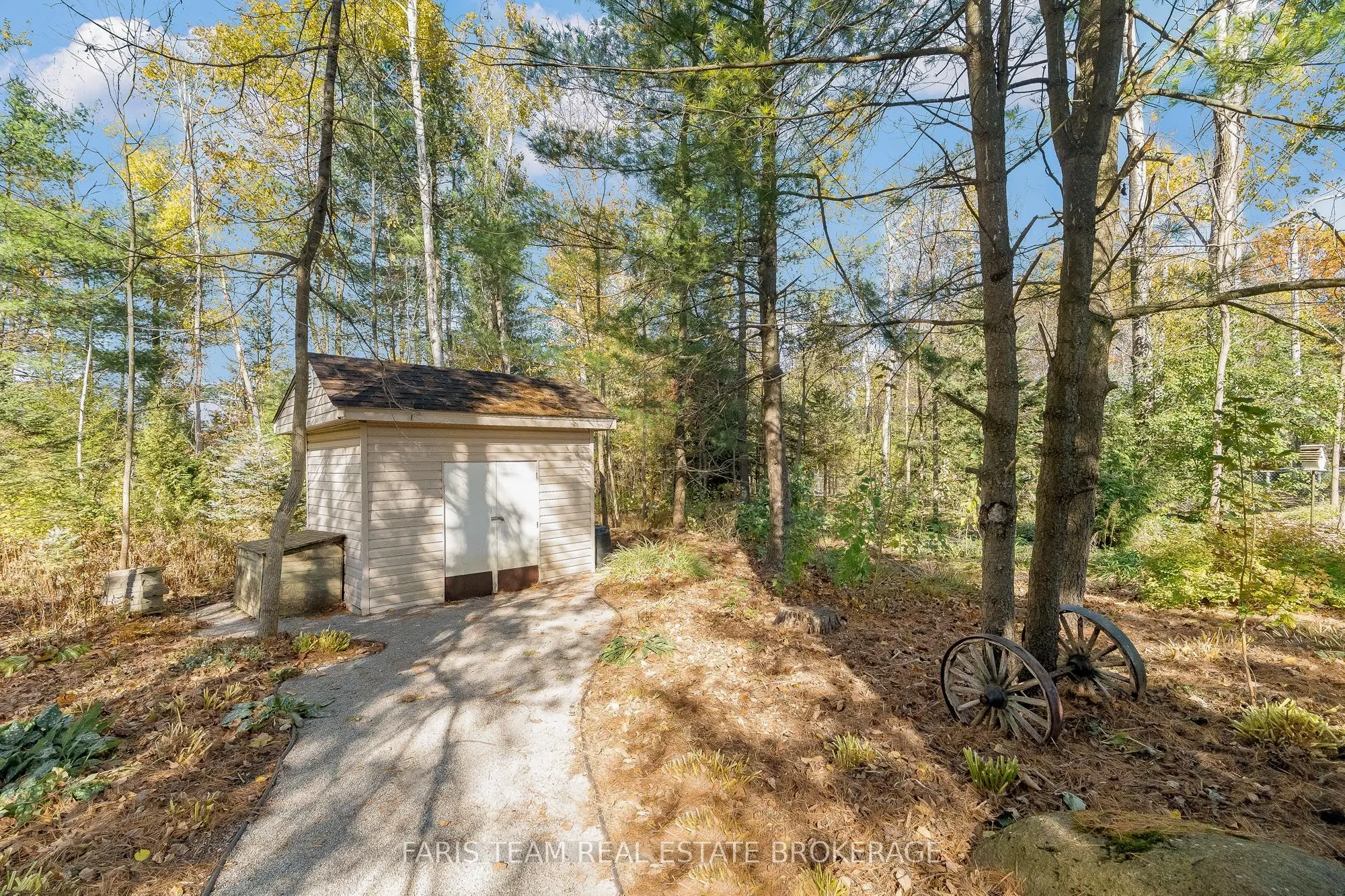 41 Paddy Dunn's Circle