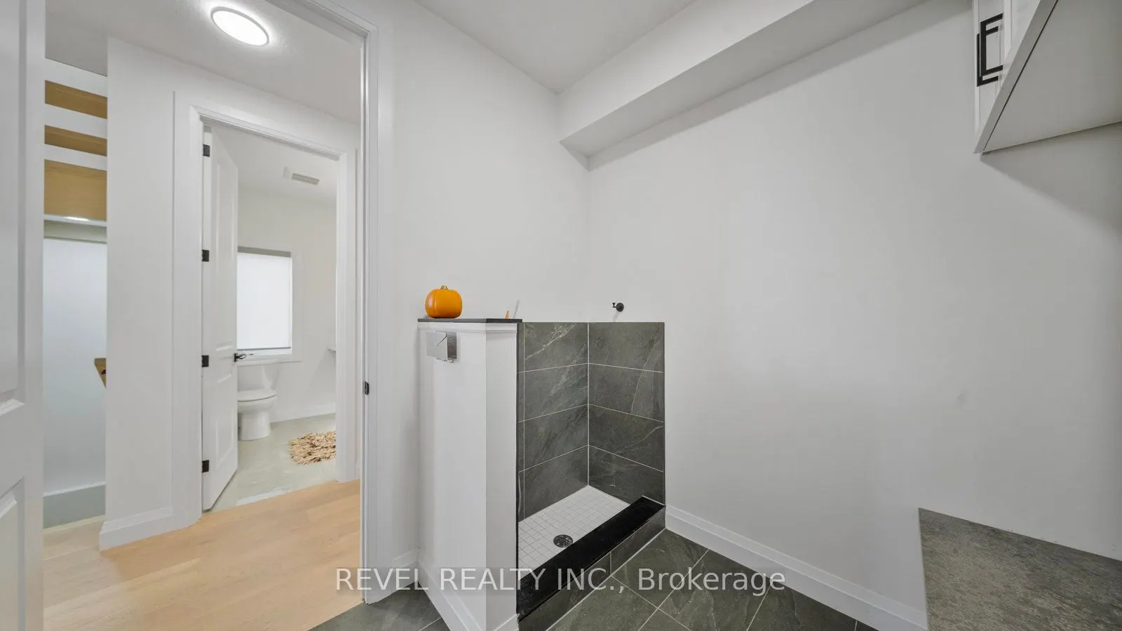 242 Mount Pleasant Street, #17