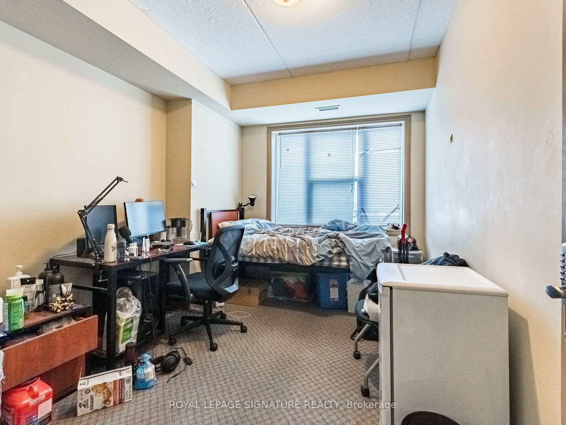 251 Lester Street, #203