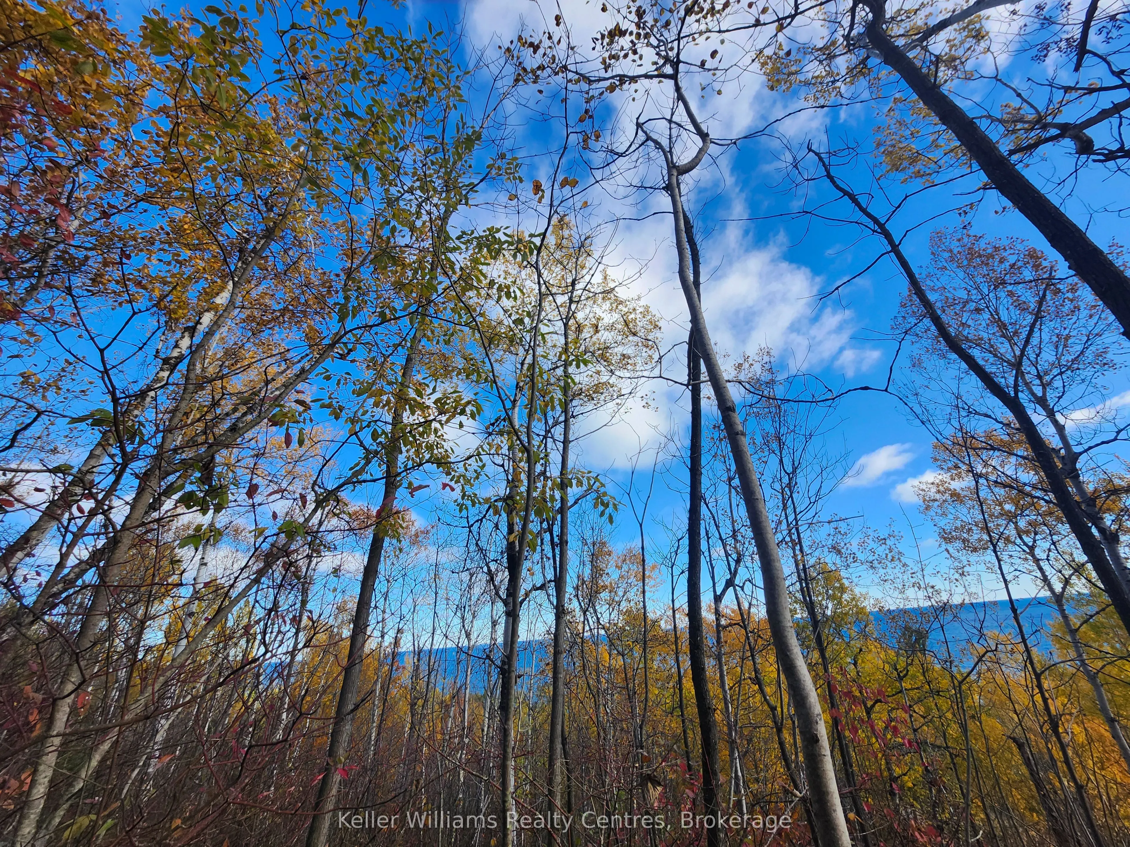 LT 15 Plan 834 Grey Road 1