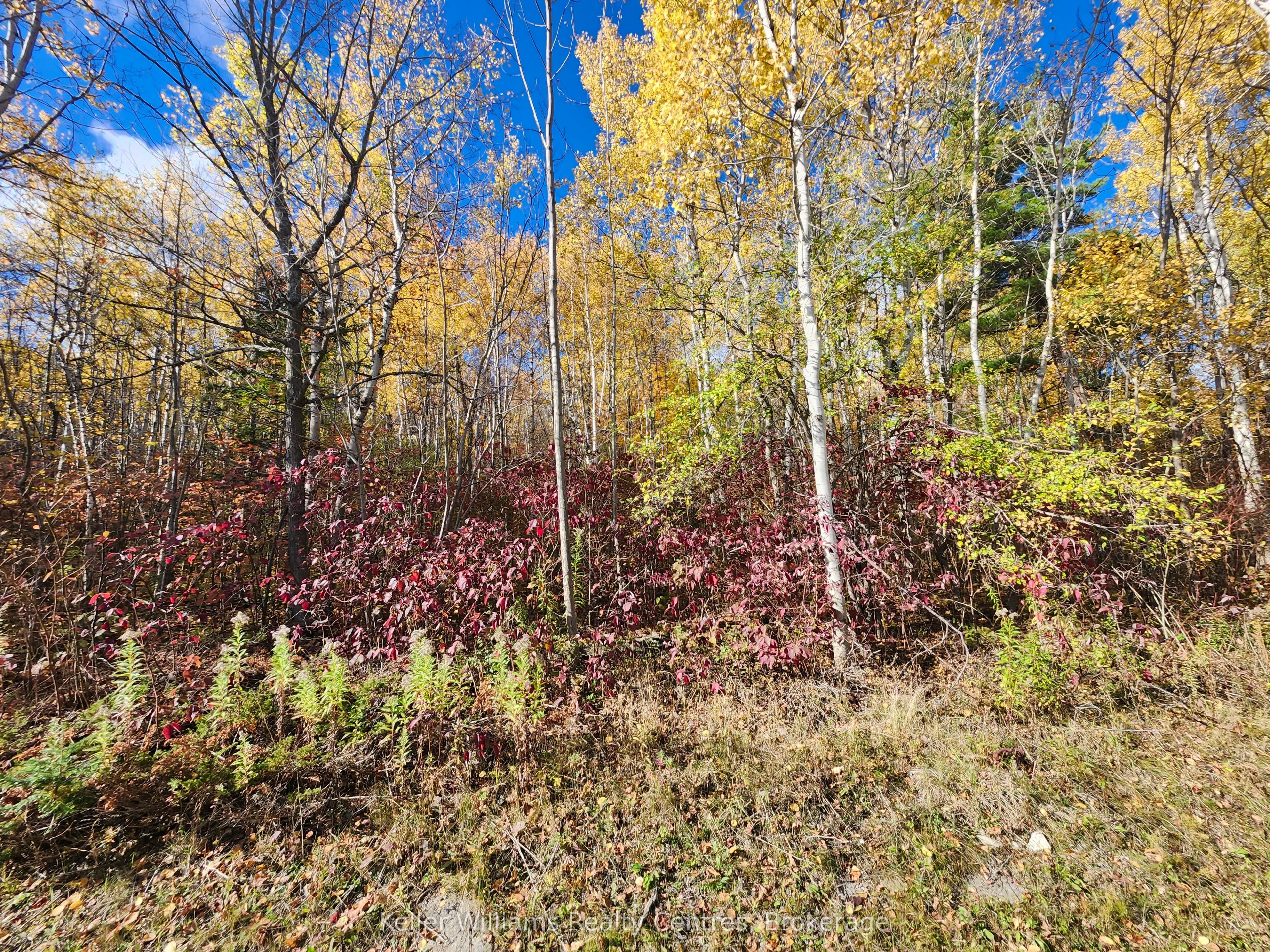 LT 15 Plan 834 Grey Road 1