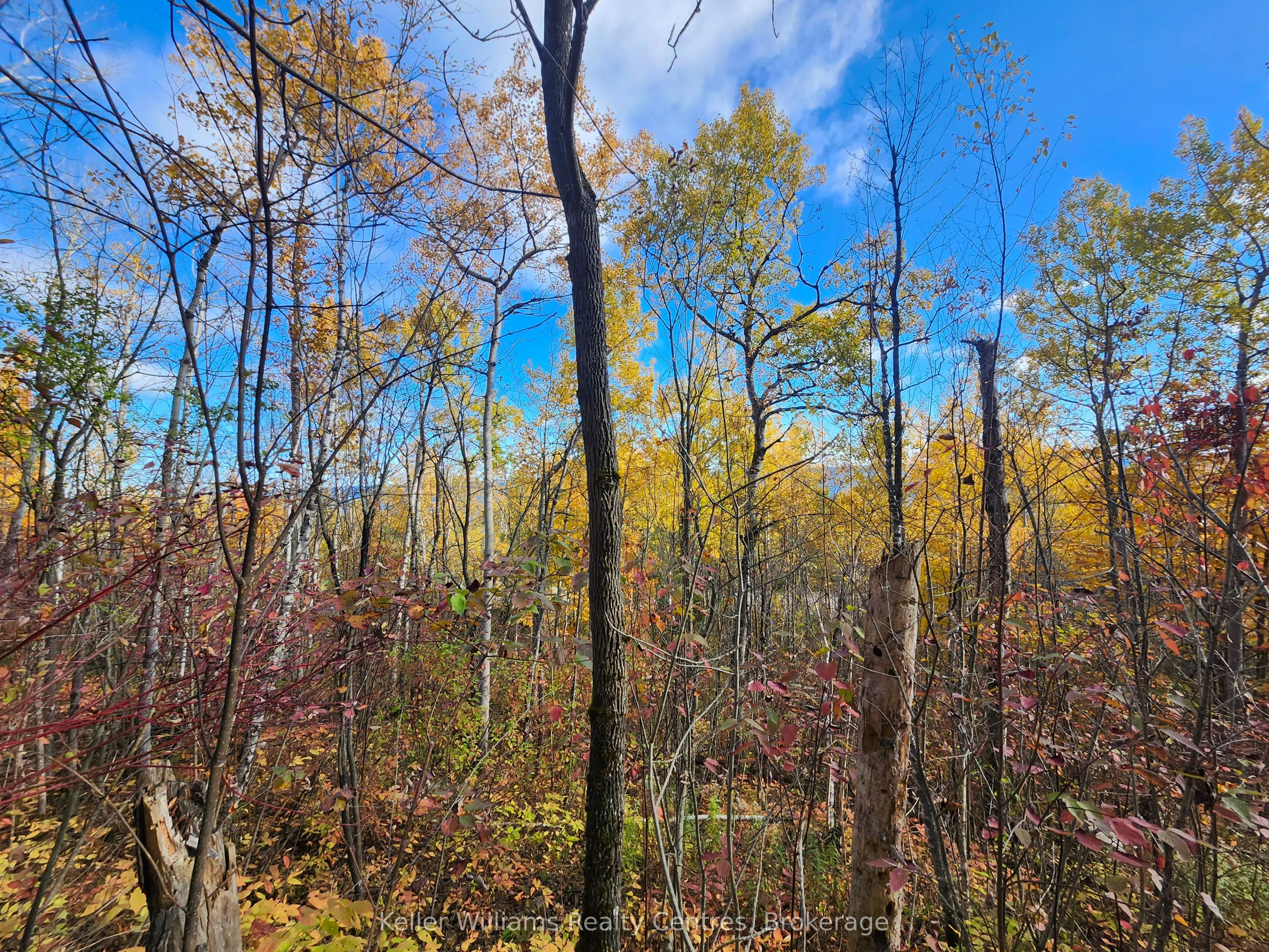 LT 15 Plan 834 Grey Road 1