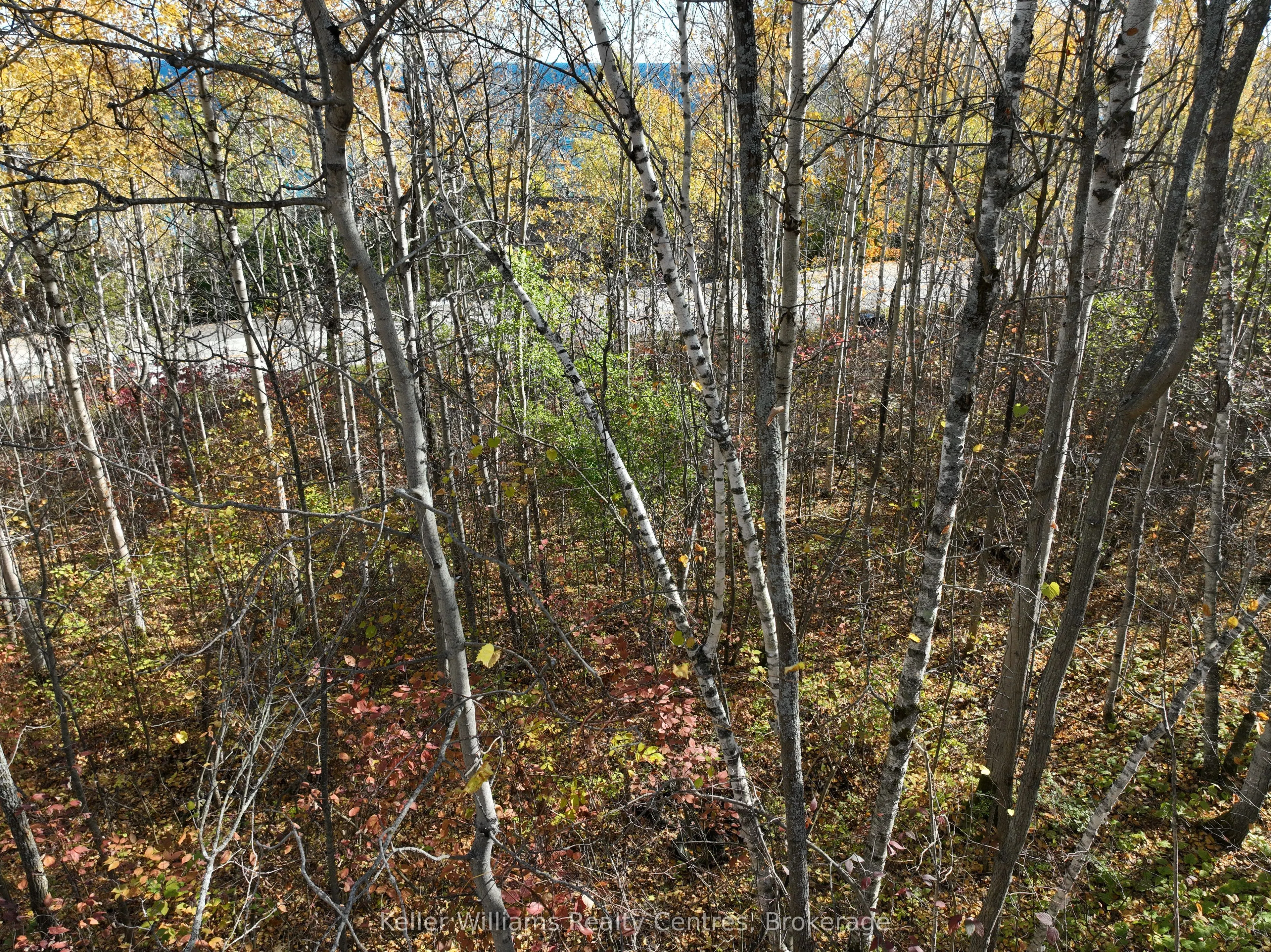 LT 15 Plan 834 Grey Road 1