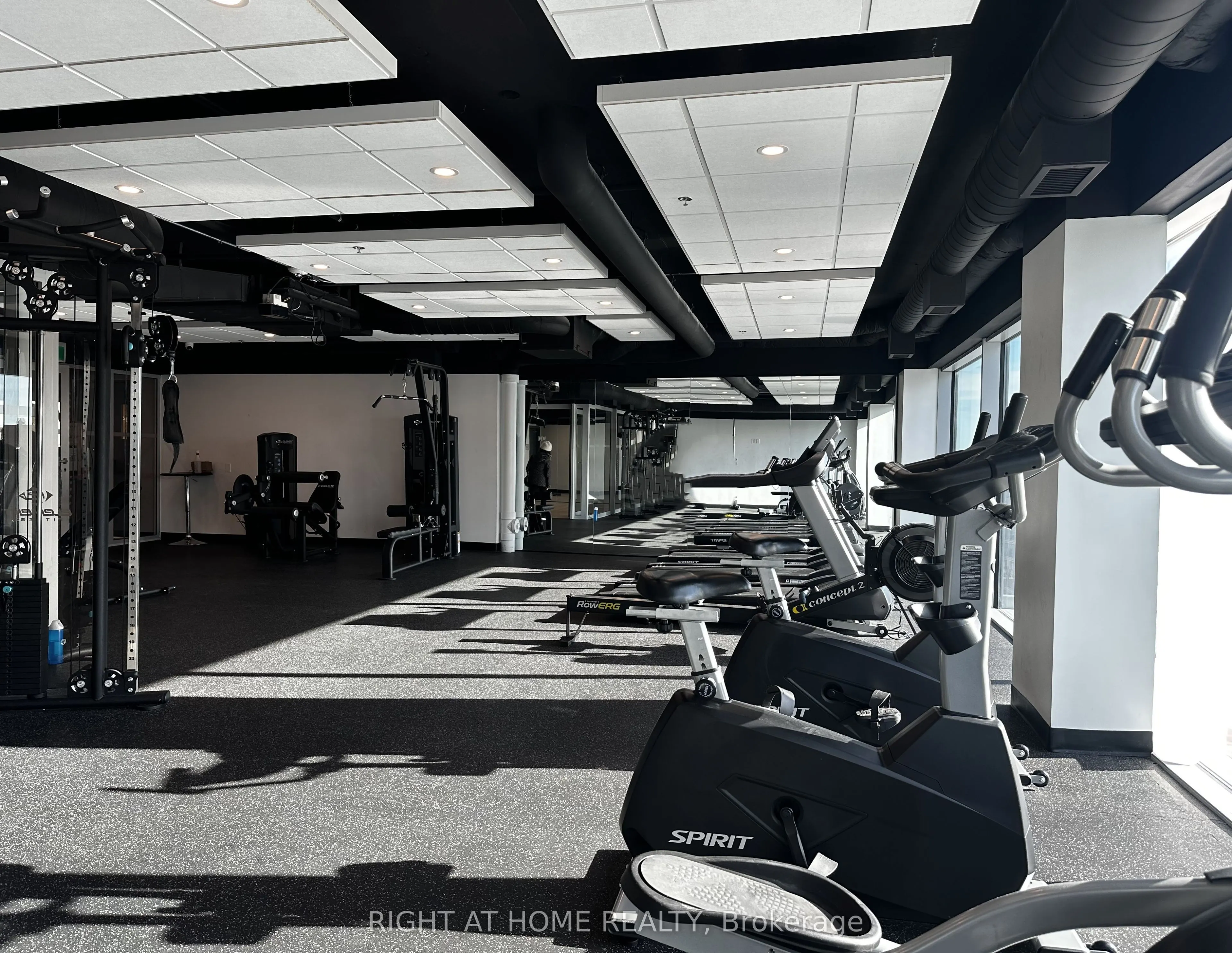 60 Frederick Street, #3910